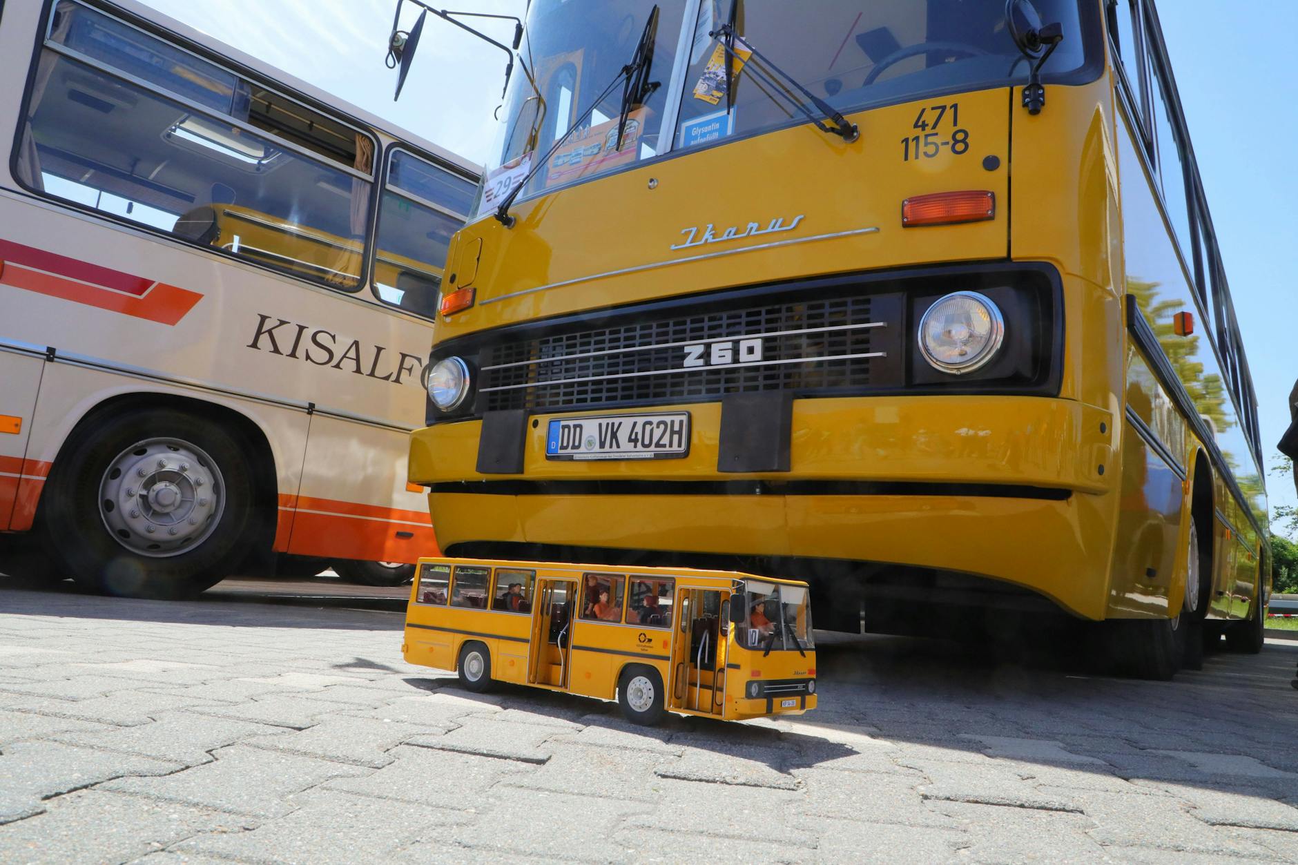 In Dresden fährt der Ikarus 260 des Vereins Historische Kraftfahrzeuge des Dresdner Nahverkehrs diese Woche im Linienverkehr. Auch ein weiterer Ikarus und andere historische Busse kommen zum Jubiläum des Busverkehrs in Dresden zurück auf die Linie.