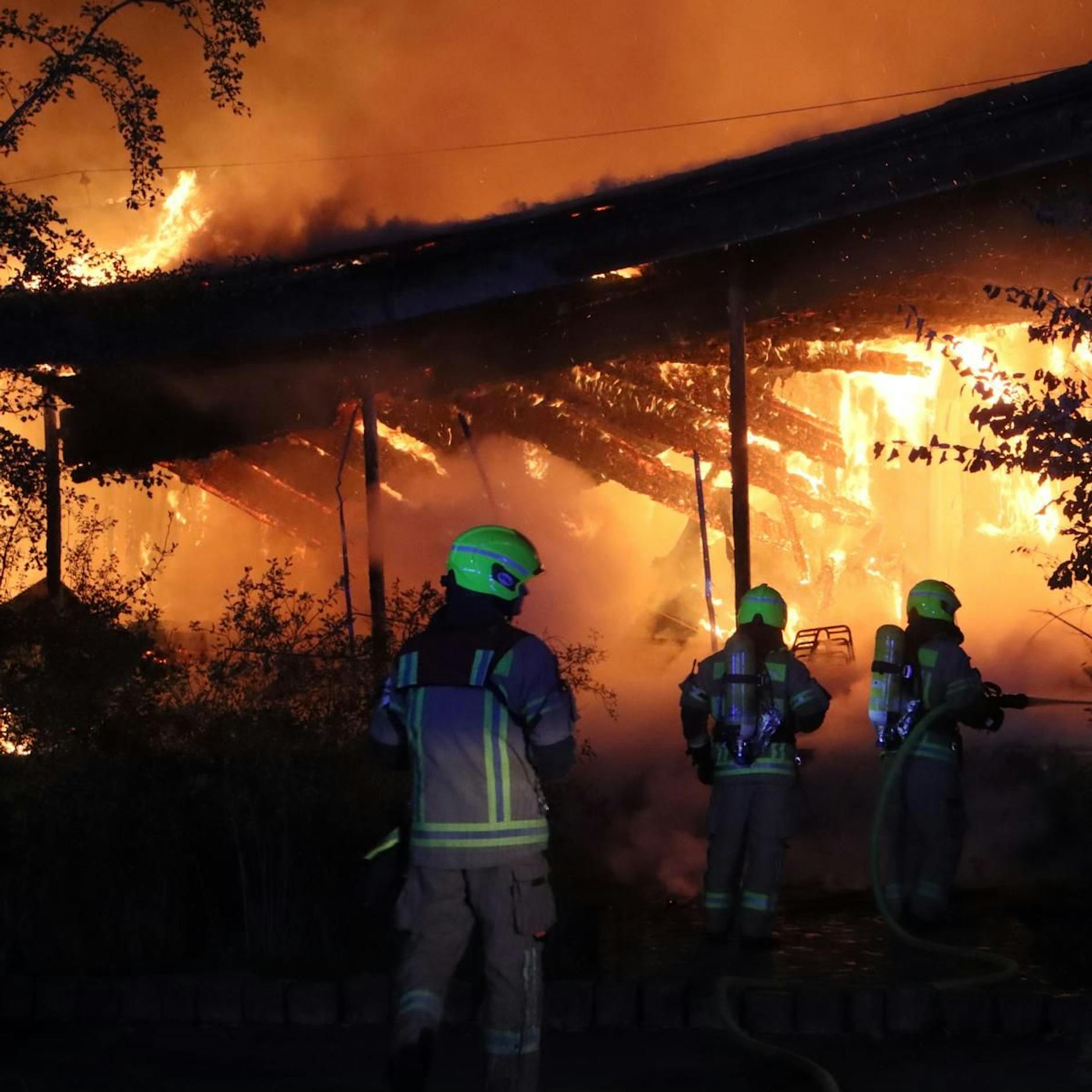 Feuerinferno im Britzer Garten: Die dramatischen Bilder