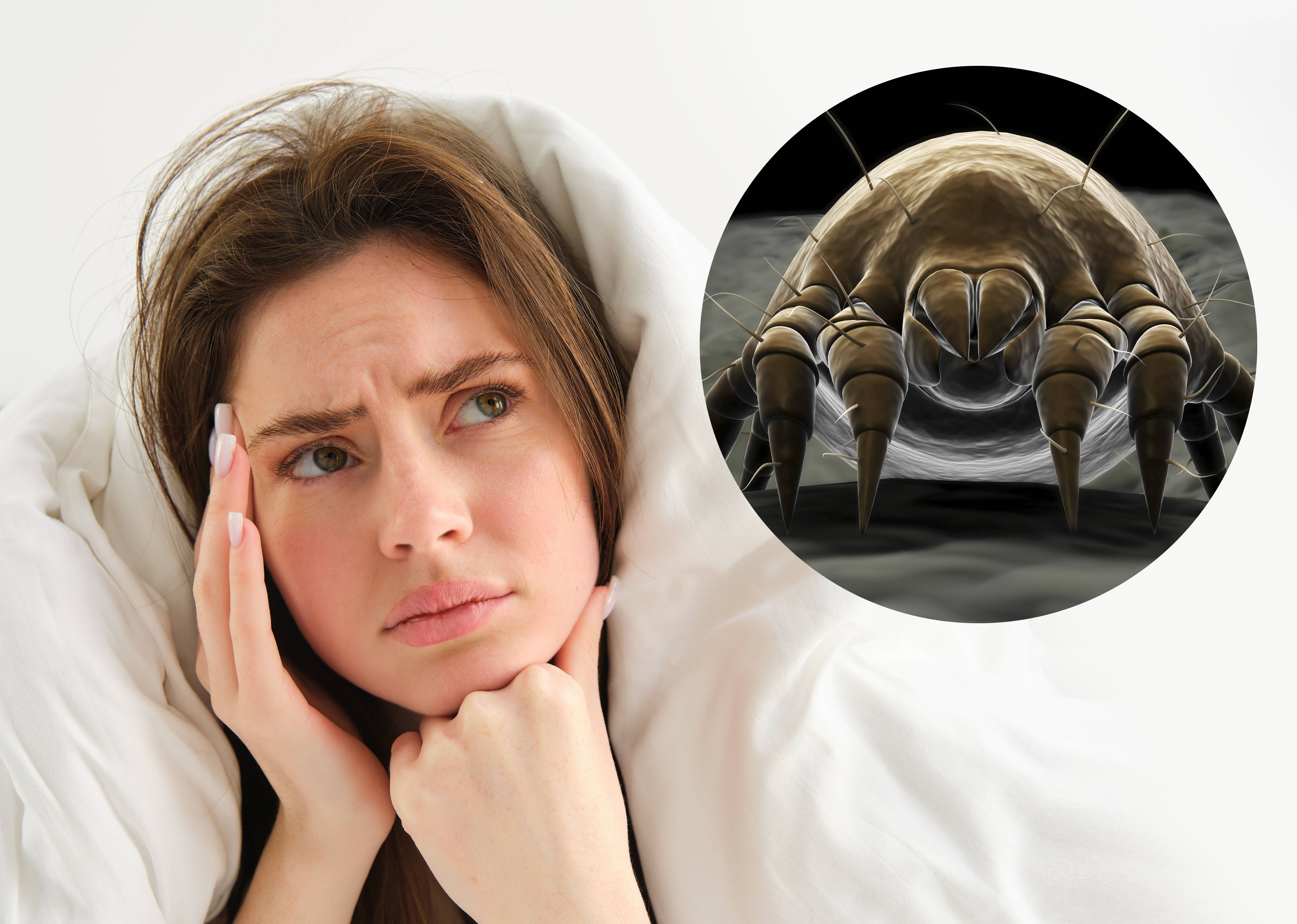 Ekel-Alarm! Arzt verrät: So oft sollten Sie Ihr Kopfkissen wechseln