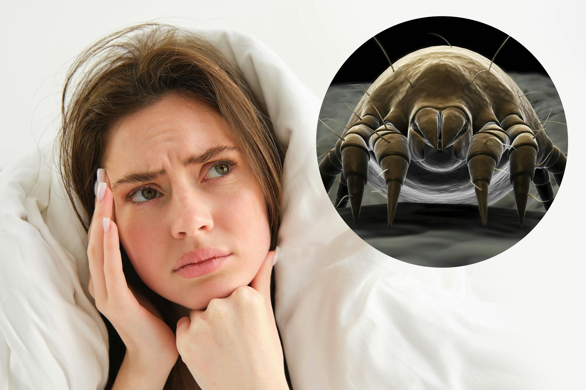 Wie oft muss man das Kopfkissen wechseln? Hausstaubmilben verstecken sich in jedem Kopfkissen. Die Kissen sollten deshalb nicht nur frisch bezogen, sondern auch regelmäßig ausgetauscht werden.