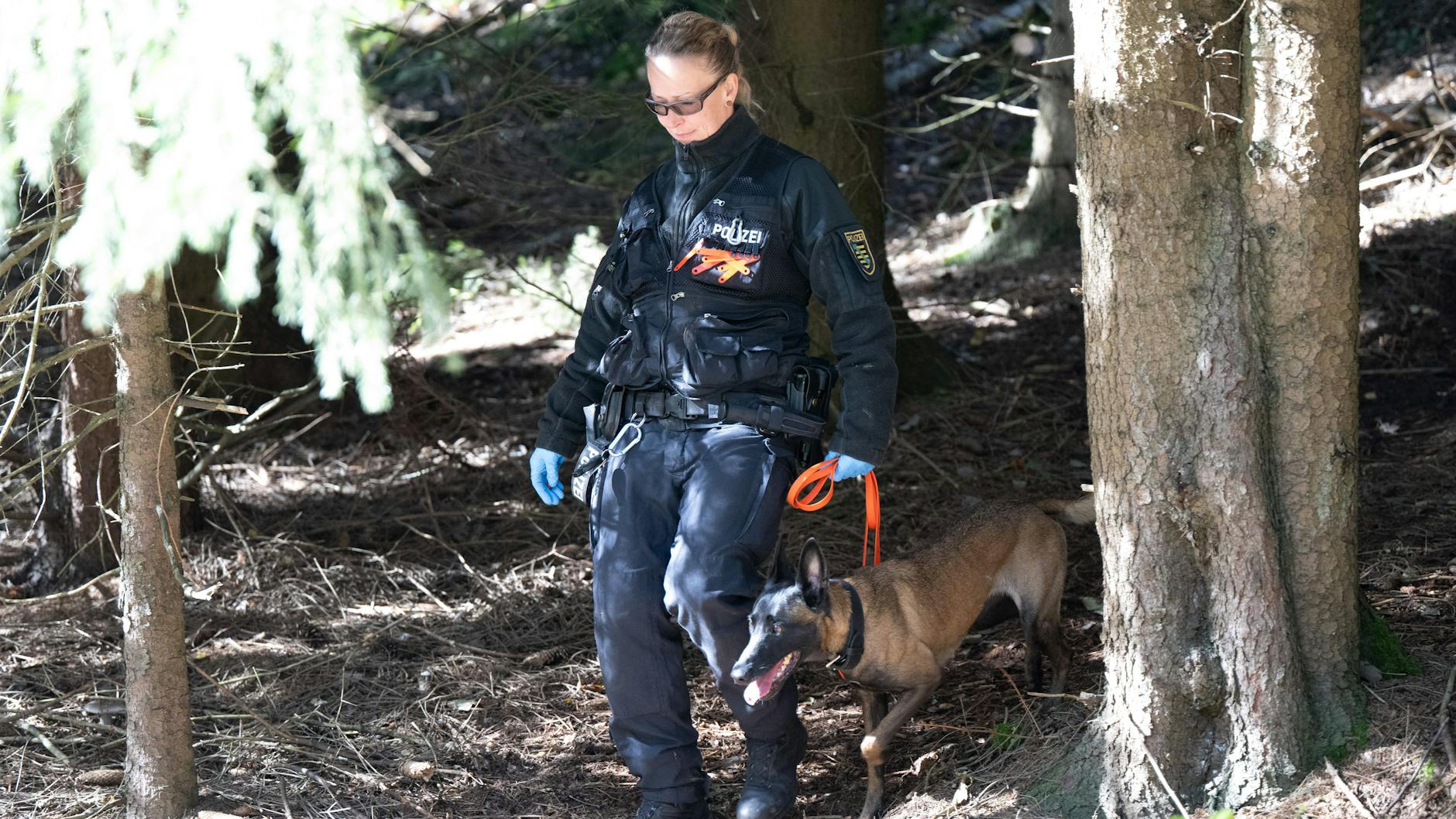 Ausgebildete Leichenspürhunde hatten im Stollen angeschlagen.