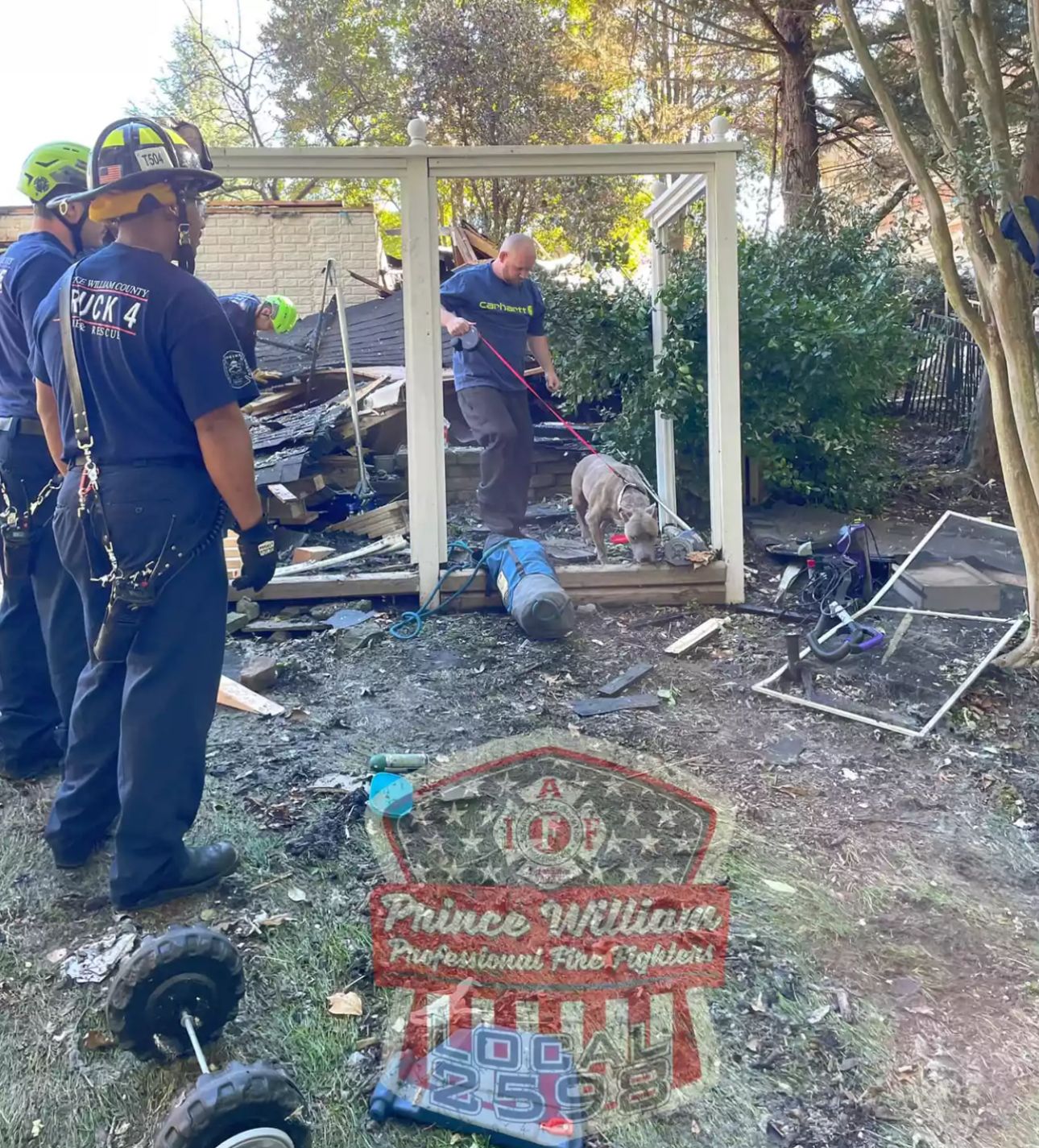 Nach Hausexplosion: „Wunder-Hund“ nach 6 Tagen aus Trümmern gerettet