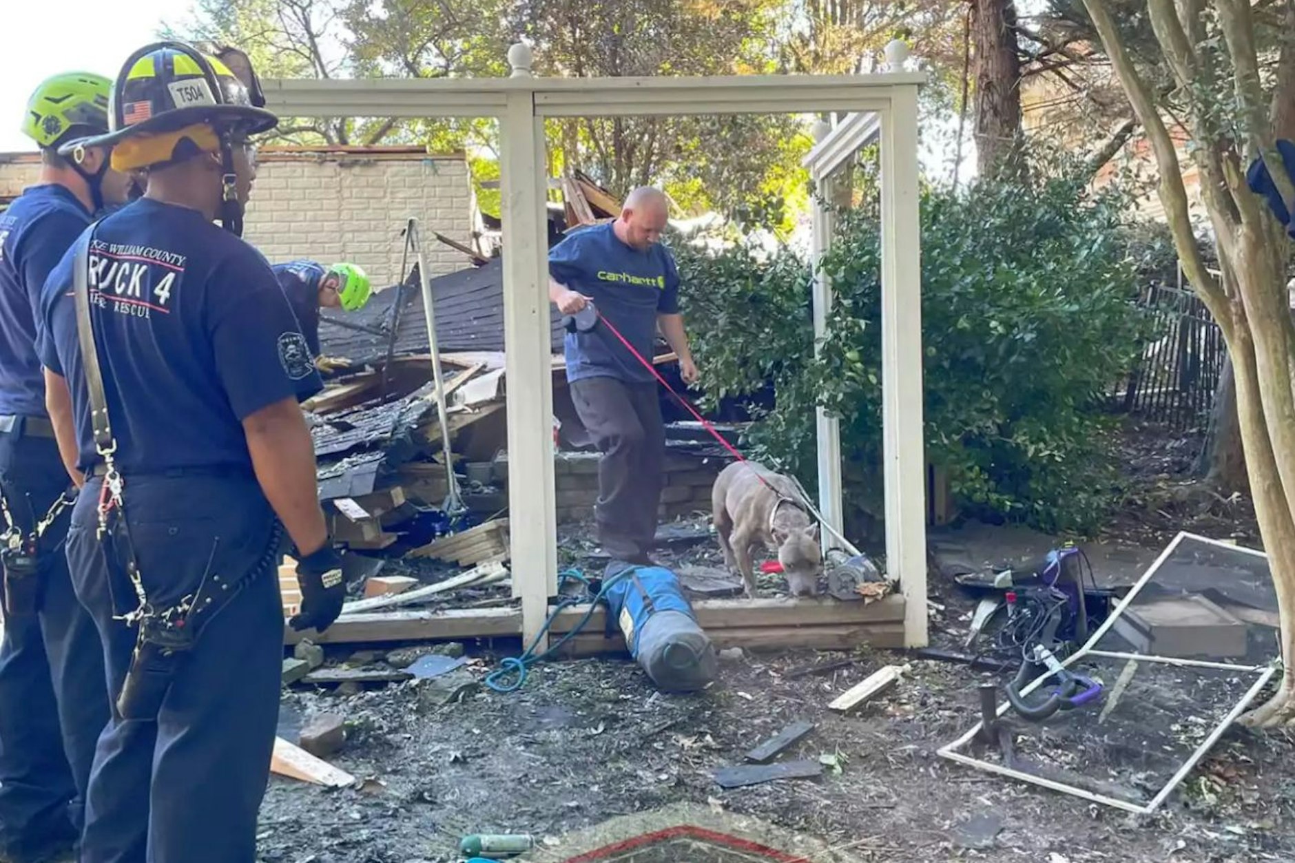 Völlig entkräftet tapst Hund Brandy aus den Trümmern ihres Heims. Das Wohnhaus war sechs Tage zuvor explodiert.