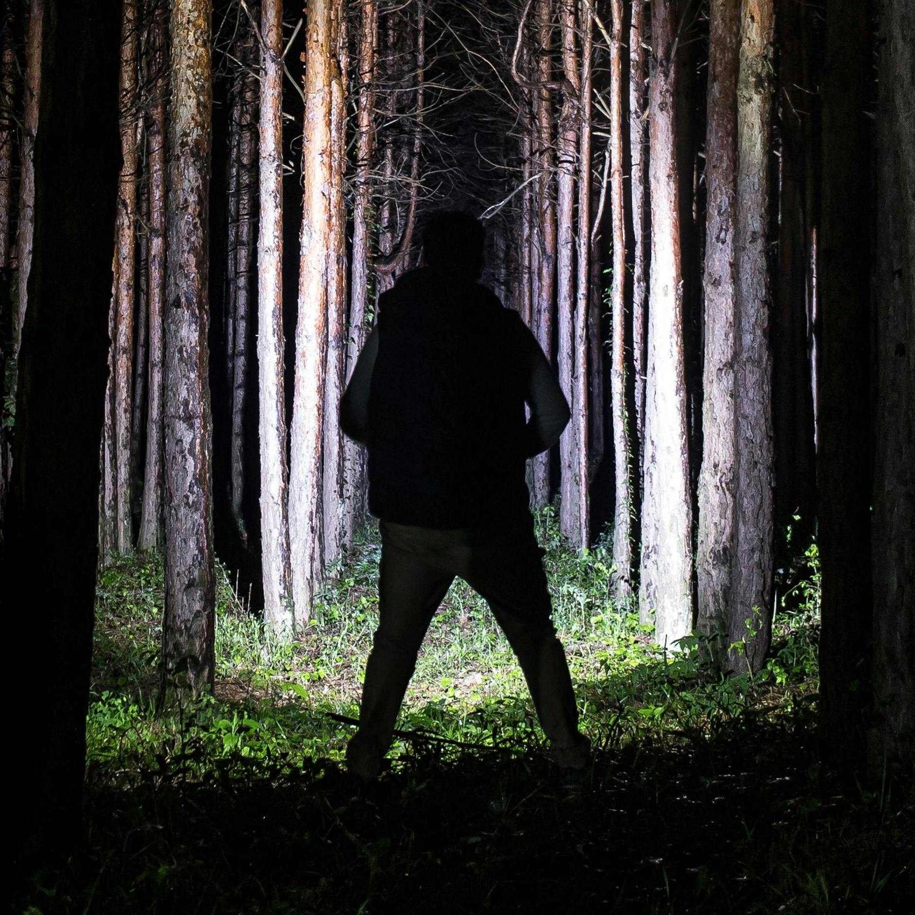 Image - Gruselgeschichten aus Berlin: Diese Gänsehaut-Storys sind der Horror