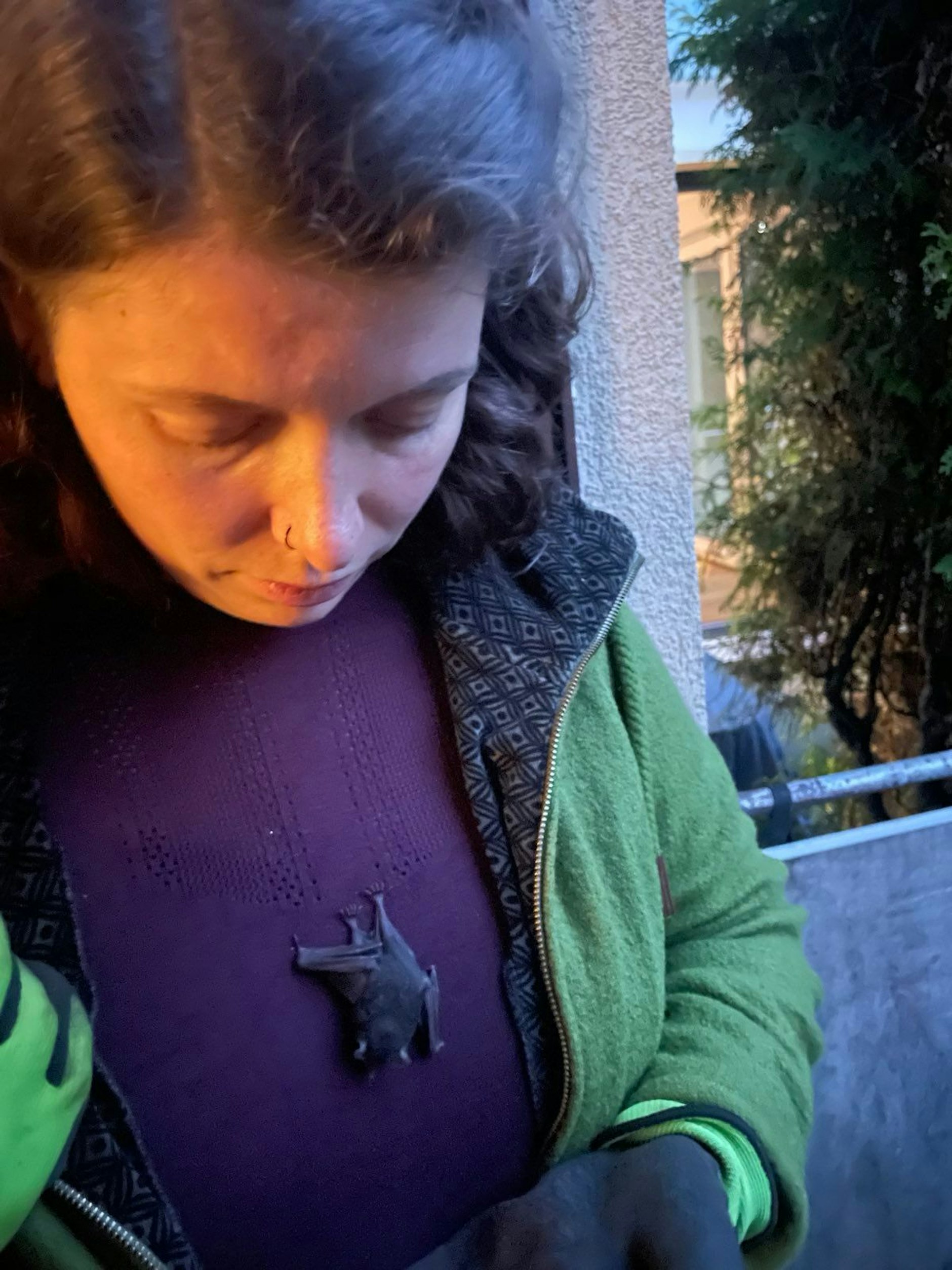 Lehrerin Elina Öfele zeigt bei sich zu Hause die Fledermaus, die sich im Zoo an sie gekrallt hatte.