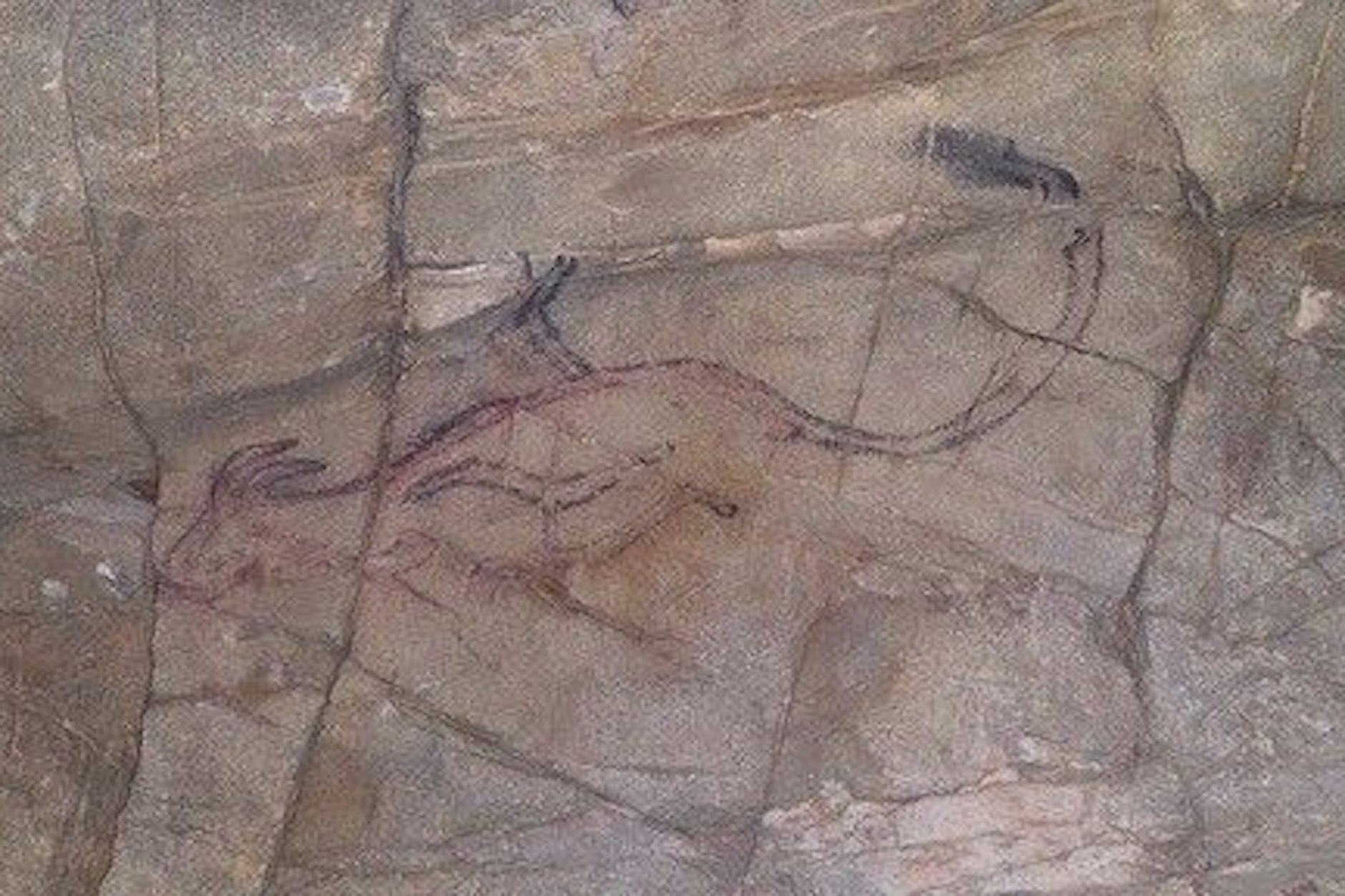 Höhlenmalereien aus der Altsteinzeit lassen sich im Altai-Gebirge finden.