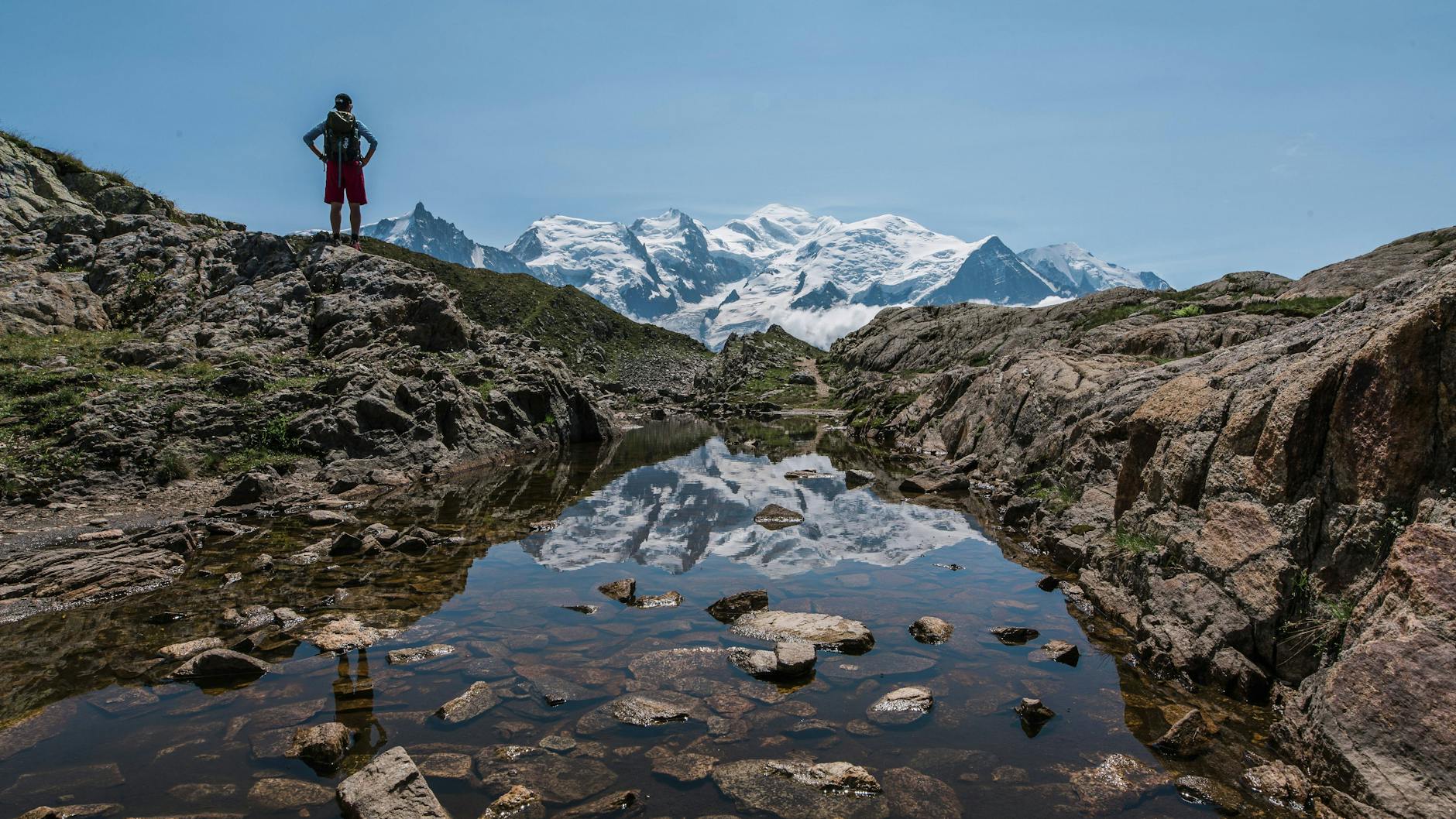 Der Stier liebt es, in der Natur zu wandern.