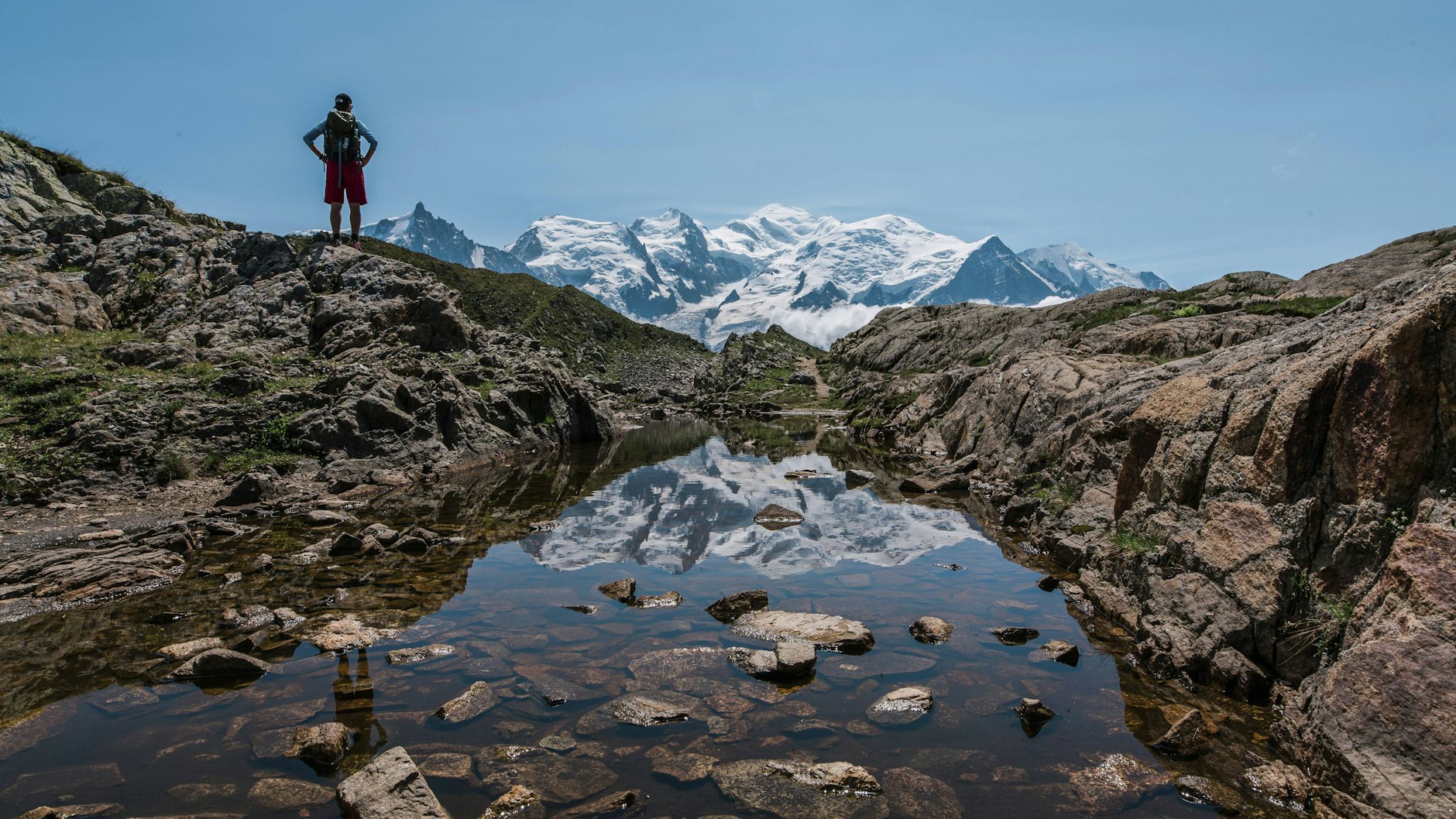 Der Stier liebt es, in der Natur zu wandern.