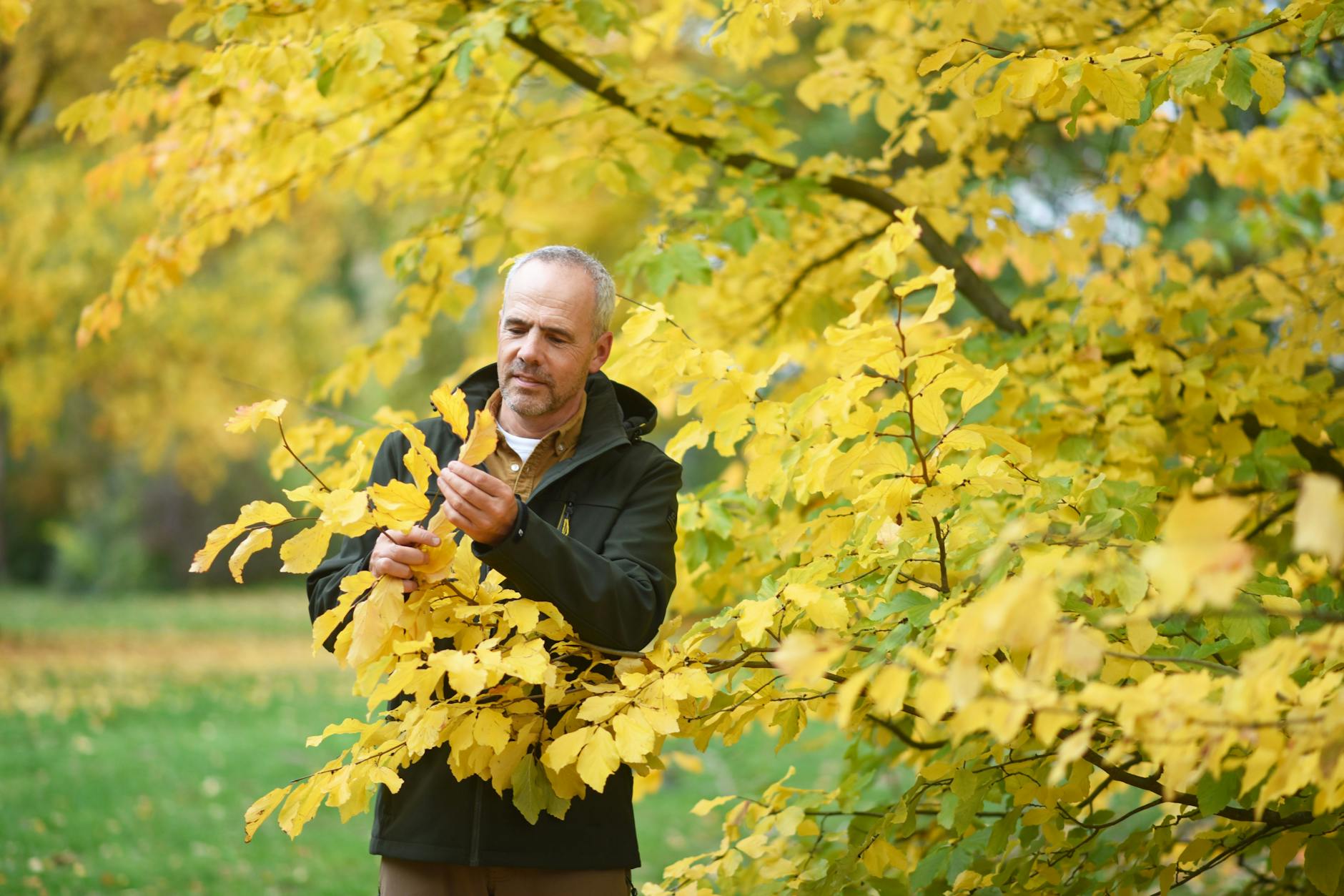 Der Großteil von Derk Ehlerts Arbeitszeit findet im Freien statt.