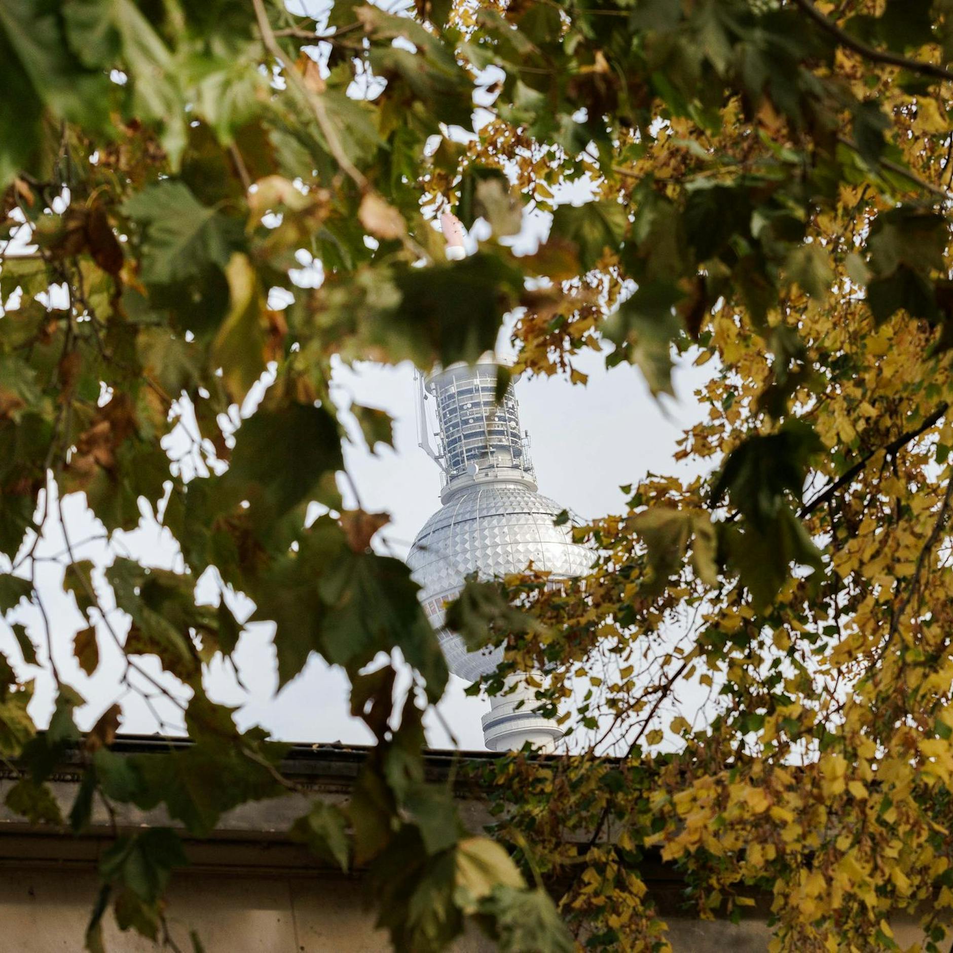 Winter-Schock, krasse Wetter-Prognose: Wochenende bringt ersten Frost
