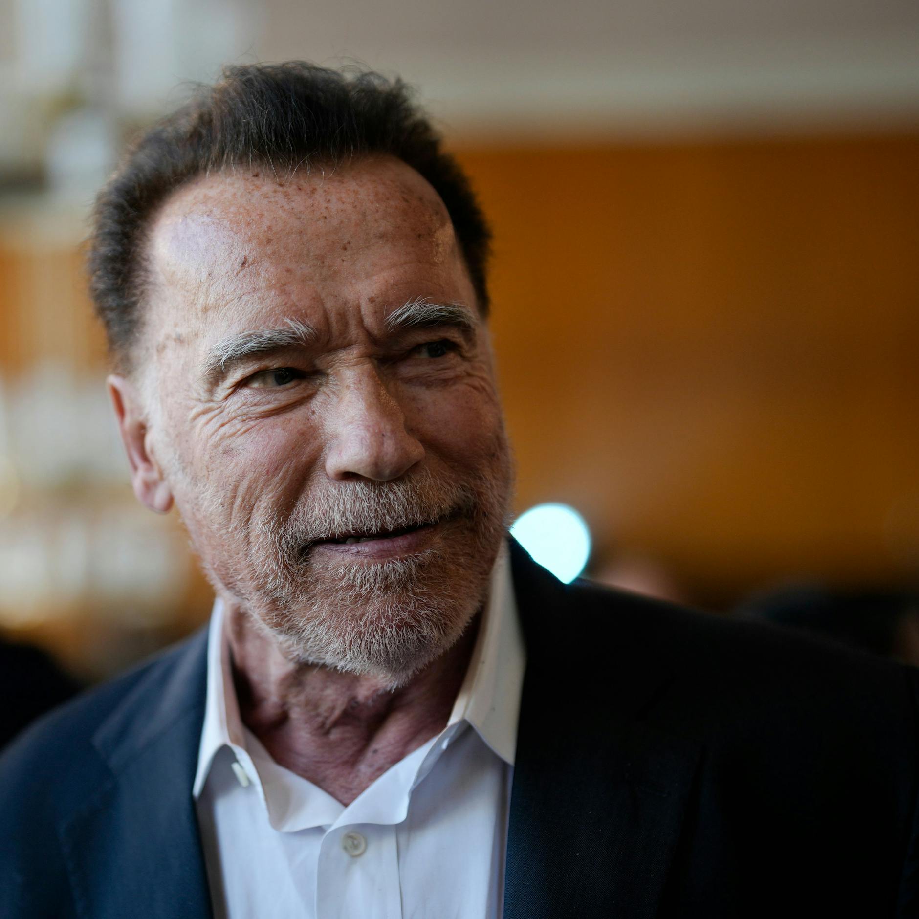 Image - US-Wahl: Darum wählt der Republikaner Arnold Schwarzenegger Kamala Harris