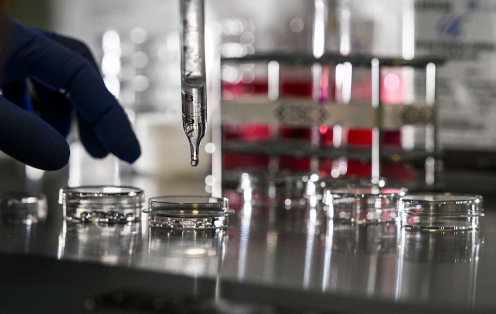 Berlin Science Week 2024: Das ist das Programm ab heute