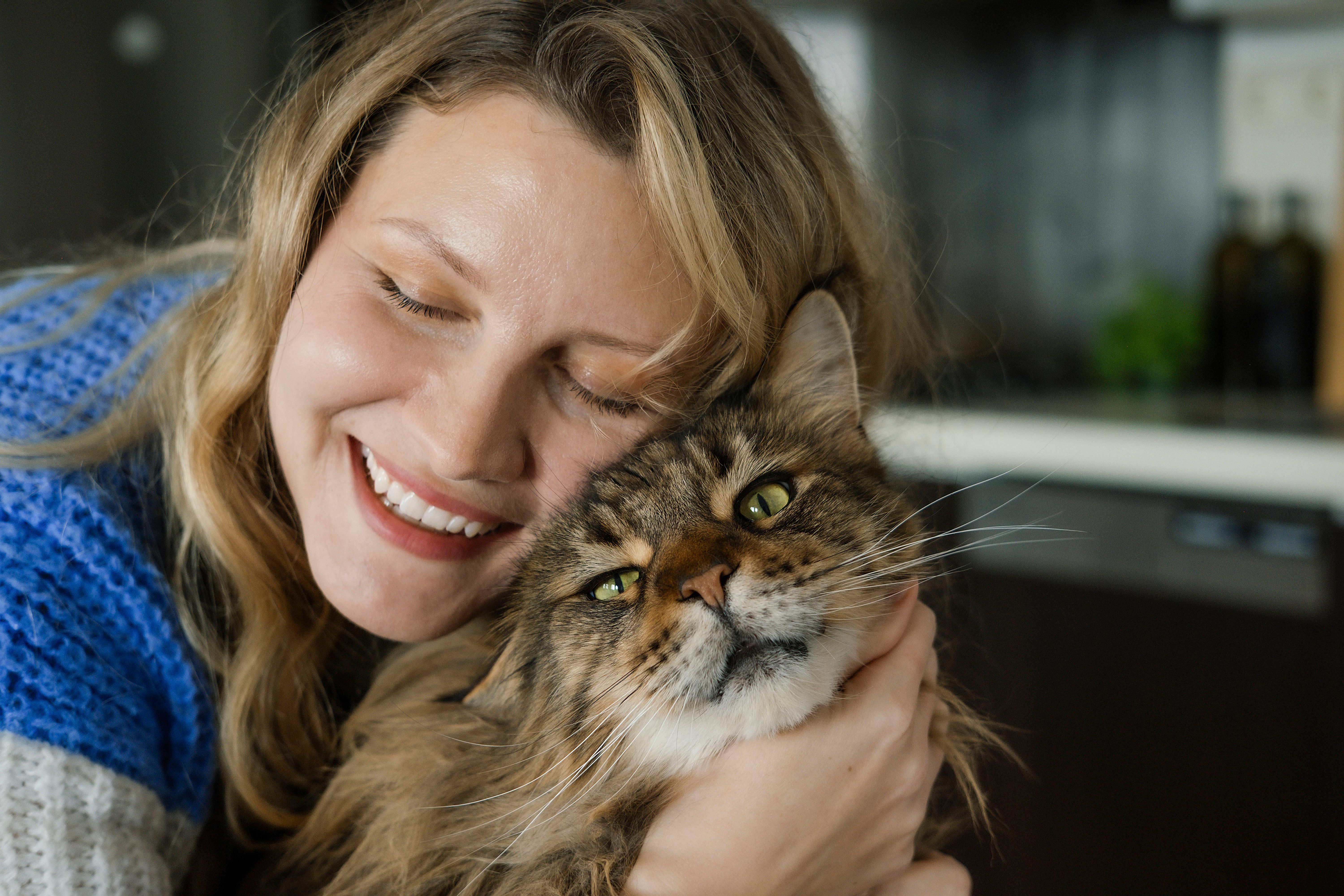 Tschüss, Twinkie! Warum ein Katzen-Happy-End mich nicht glücklich macht