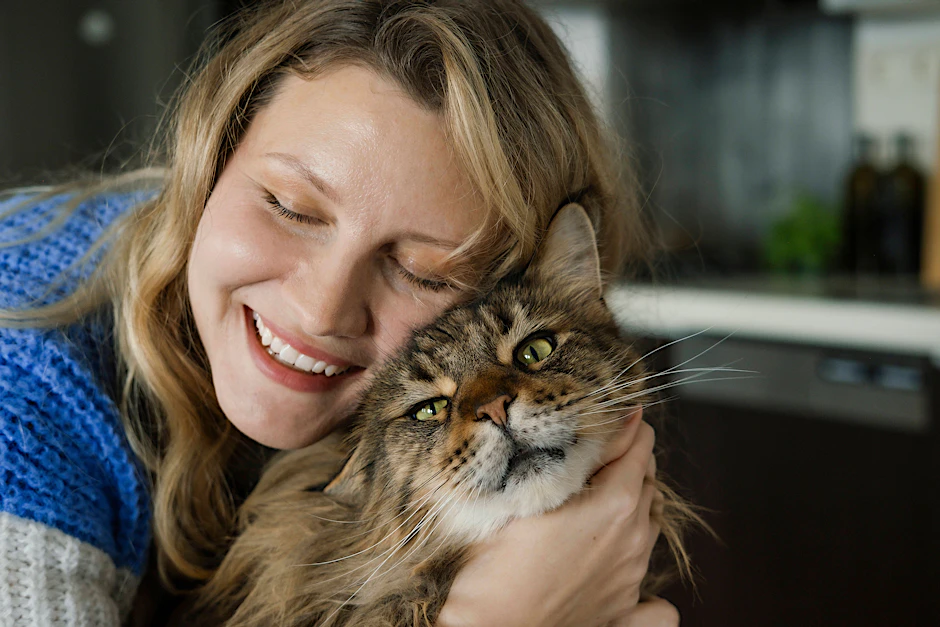 Unbeschreibliche Wiedersehensfreude: Ein Frauchen hat ihre entlaufende Katze wieder. (Symbolfoto)&nbsp;
