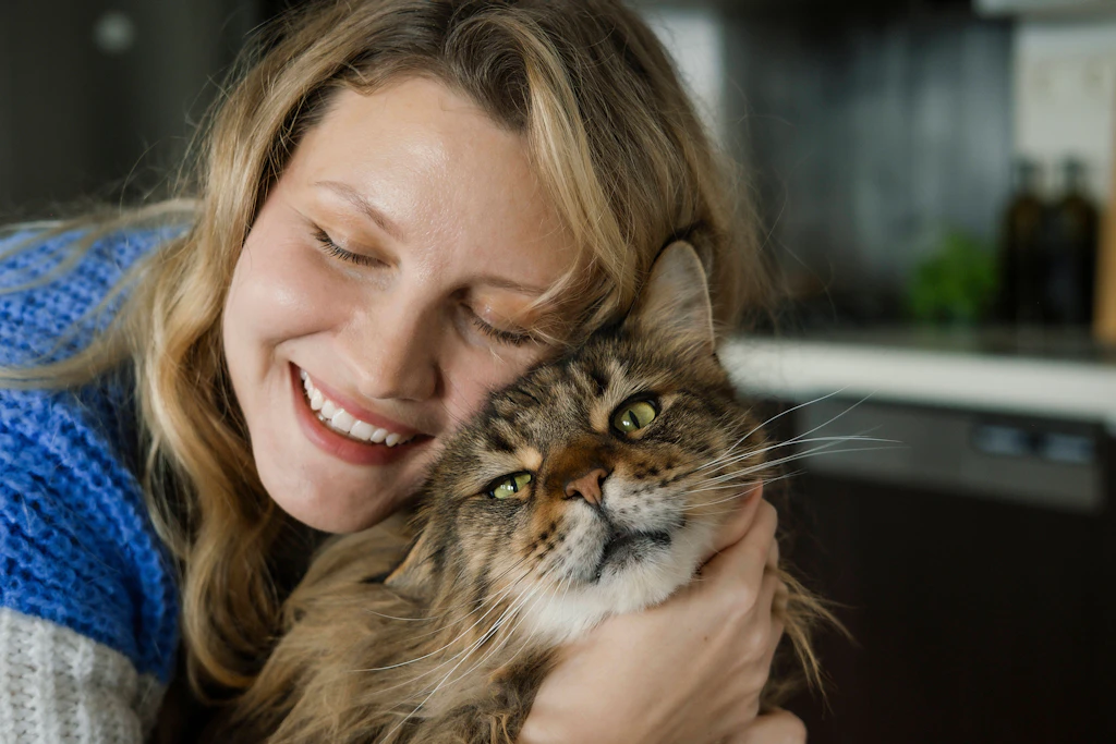 Tschüss, Twinkie! Warum ein Katzen-Happy-End mich nicht glücklich macht