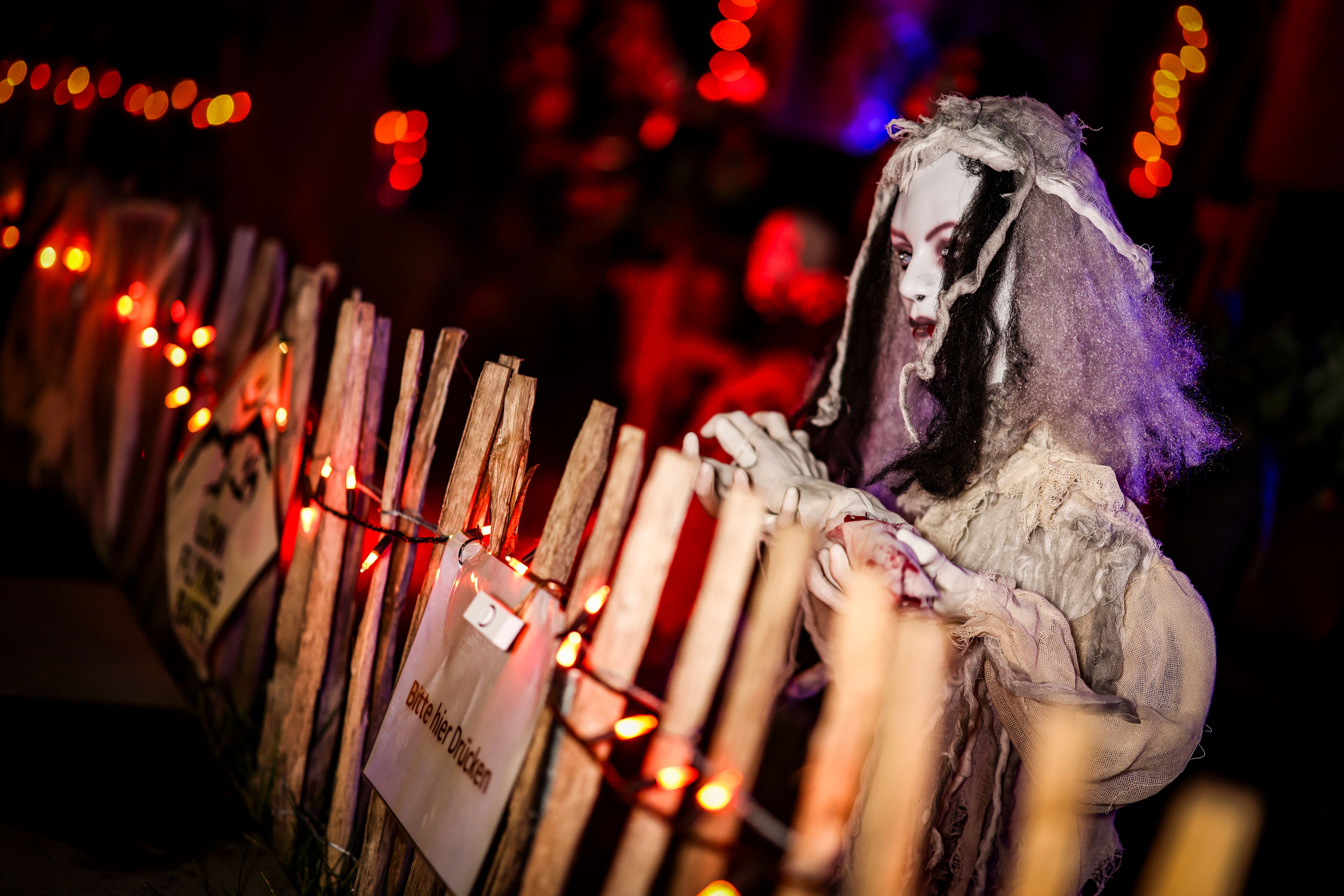 Halloween 2024: So viele Berliner feiern mit – und so viel Geld geben sie dafür aus