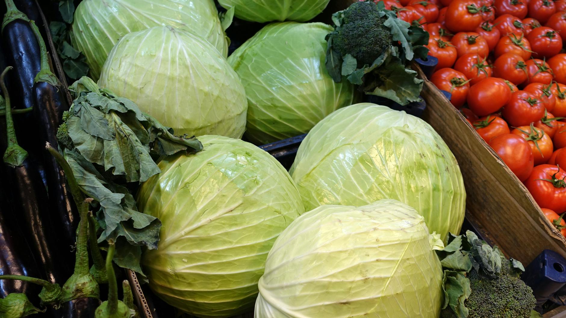 Weißkohl ist ein leckeres Wintergemüse - und lässt sich mit Hackfleisch zu einem tollen Auflauf verarbeiten.