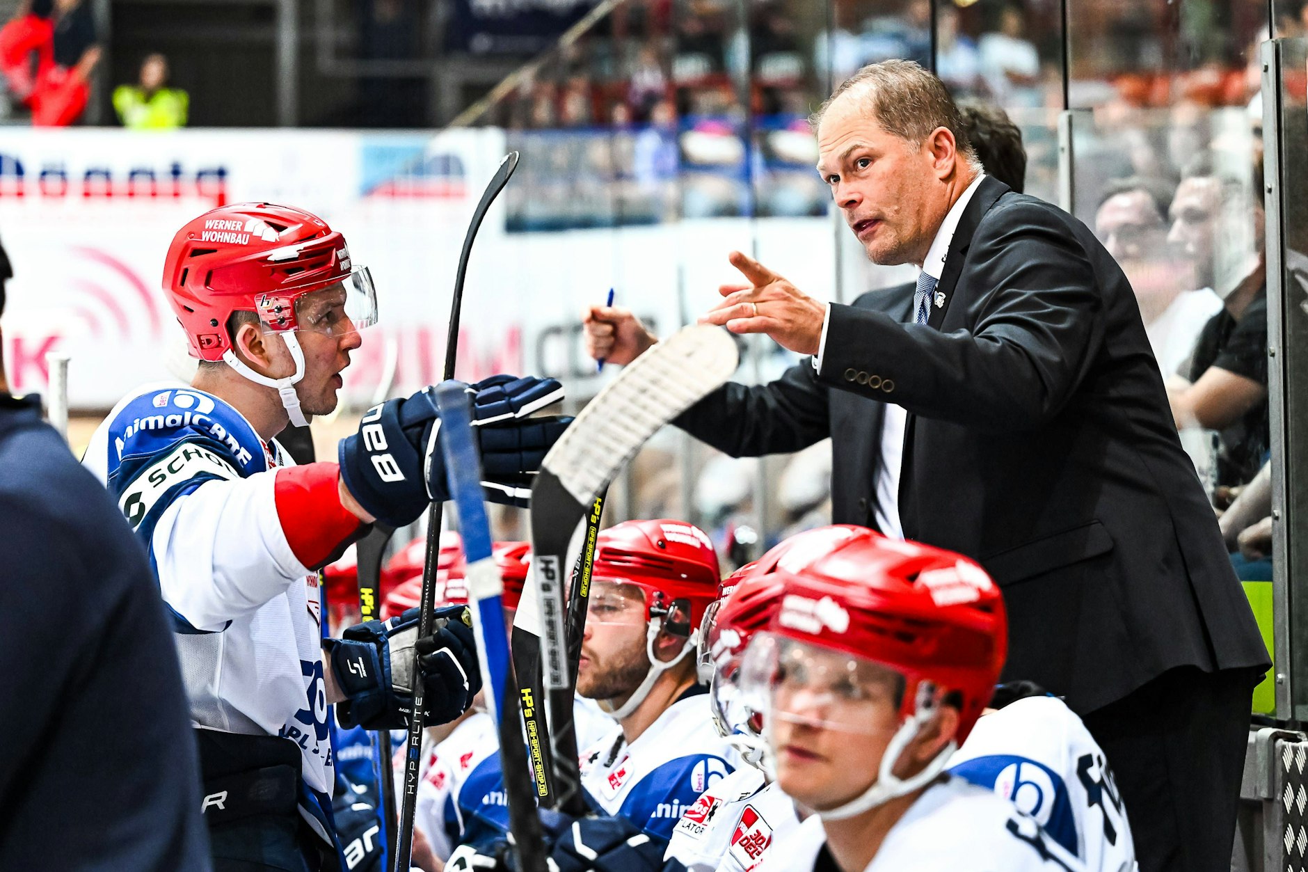 Seit über einem Jahr hat Steve Walker als Cheftrainer an der Bande der Schwenninger Wild Wings das Sagen. 