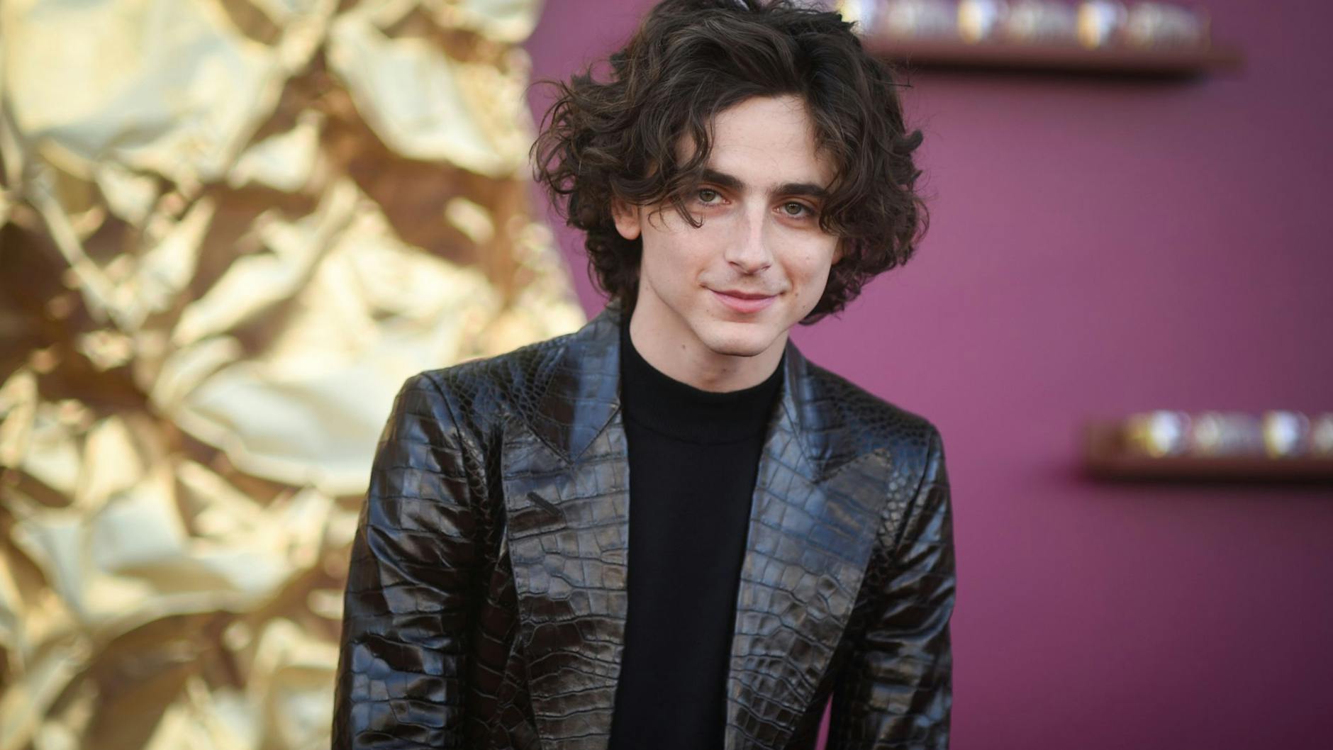 Timothee Chalamet ist zu einem Liebling des Internets geworden.