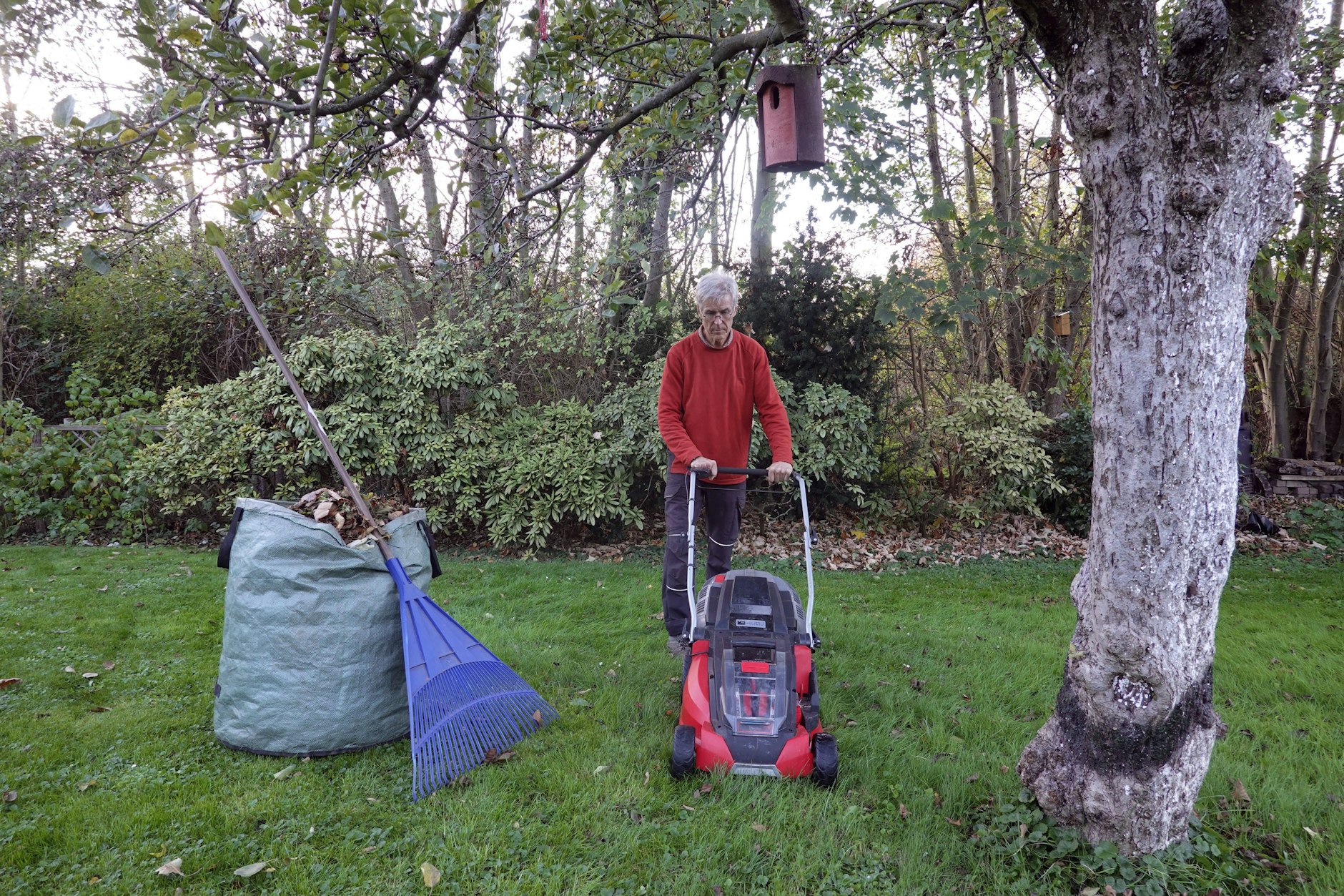 Je nach Temperatur wächst der Rasen auch noch im Herbst. Wann ist Zeit für den letzten Schnitt?