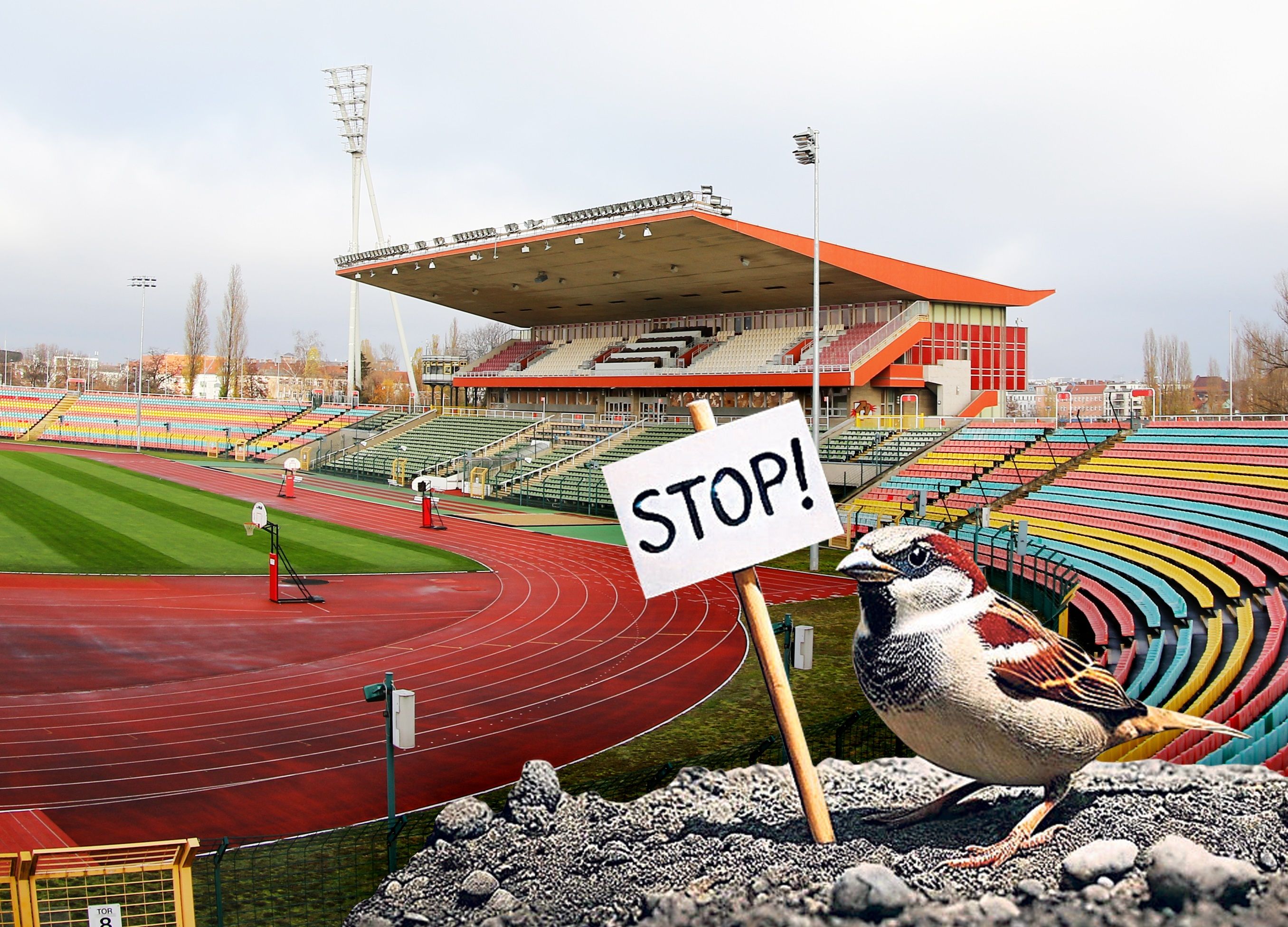 Abriss-Stopp Jahnstadion wegen Spatzen: Wer ist jetzt doof, Herr Bausenator?