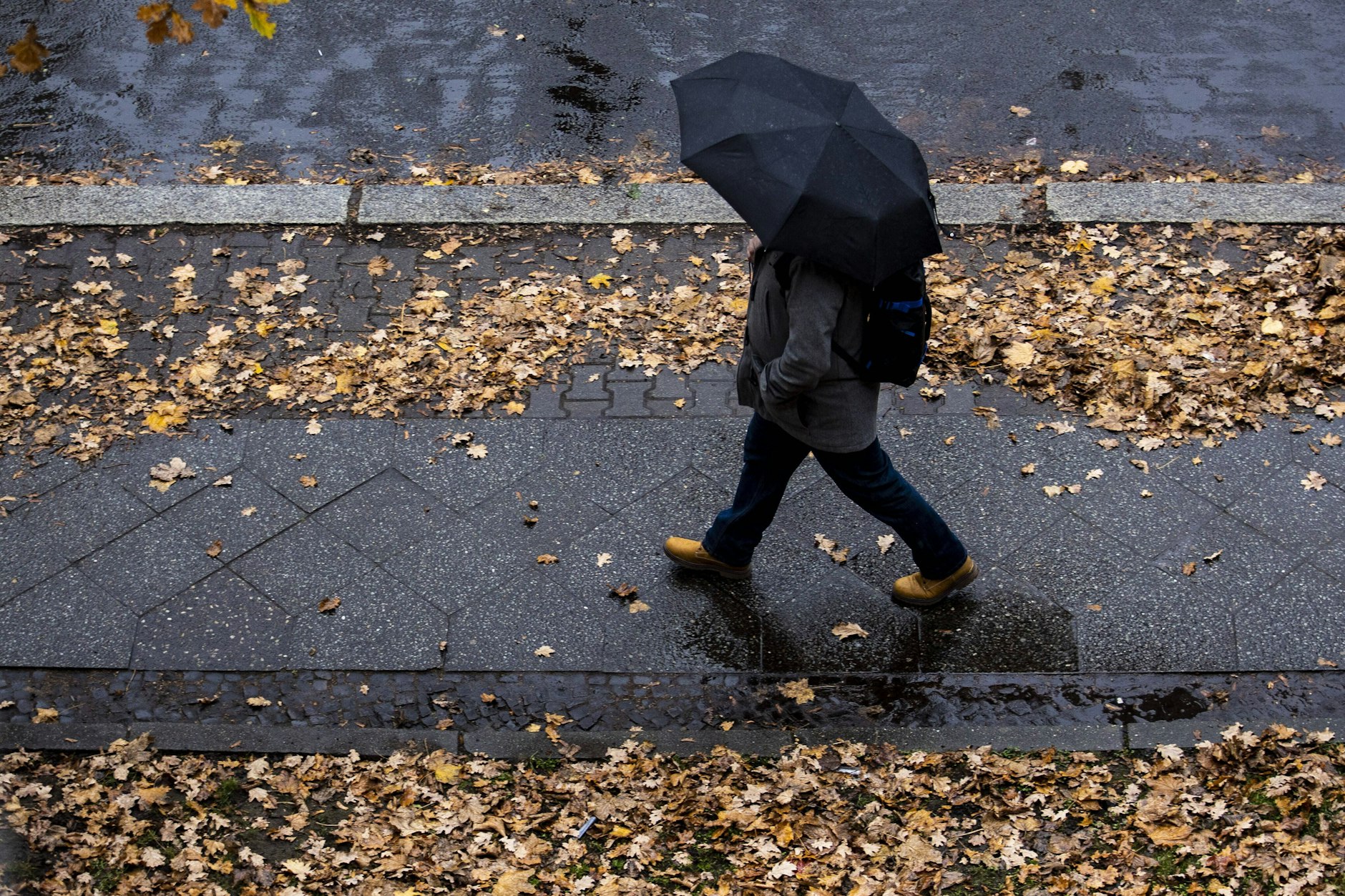 Alles grau in grau: Der Berliner hat das ganze Jahr den Herbstblues. 