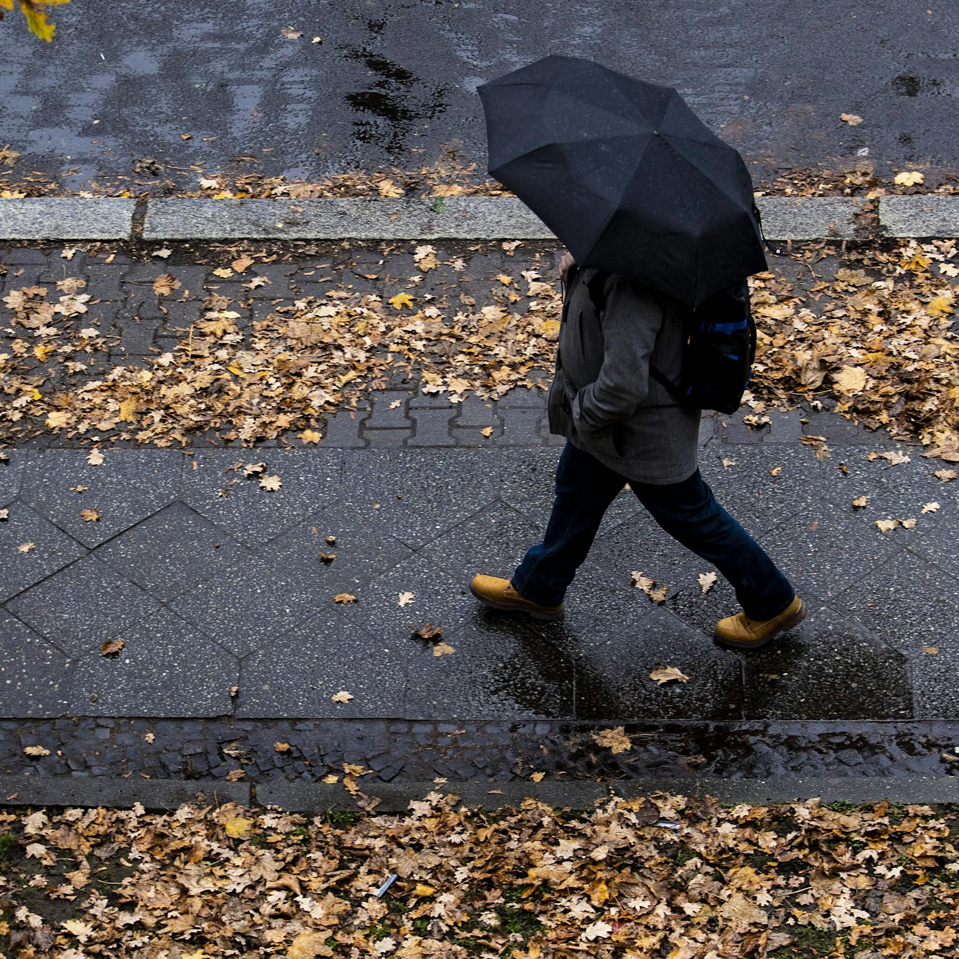 Trump, Ampel-Bruch, Katastrophen und Kriege: Tipps dem Weltschmerz etwas entgegenzusetzen