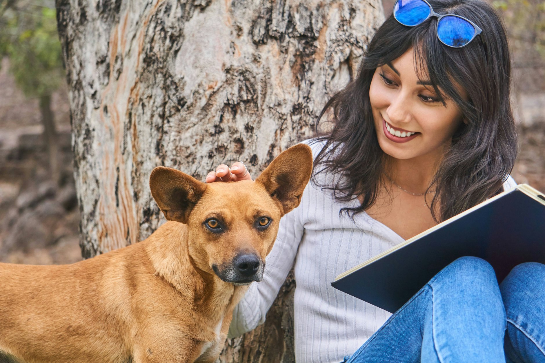 Laut Horoskop können einige Sternzeichen Ende November echt stolz sein.