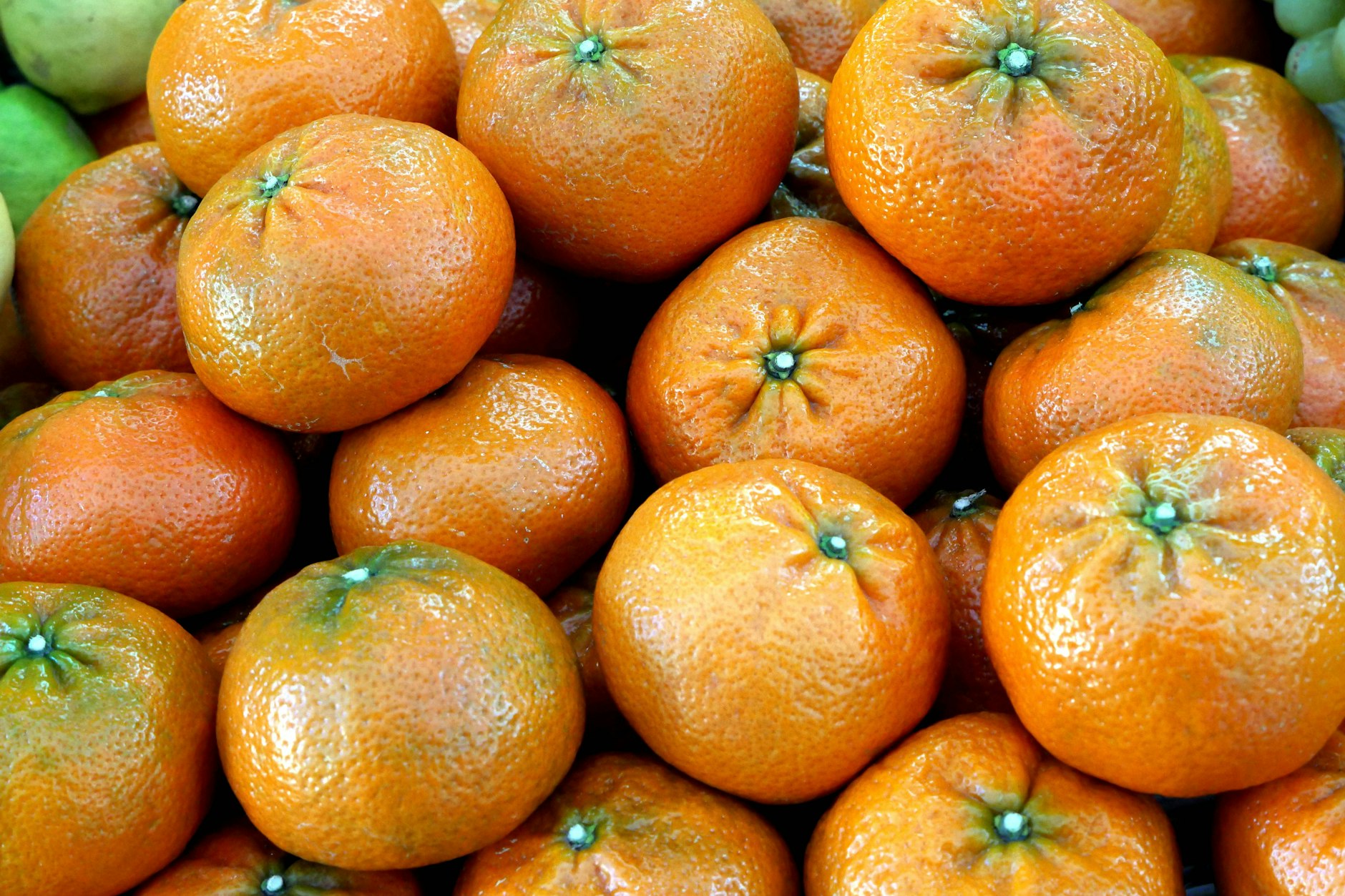 Gerade ist die Mandarinen-Saison gestartet. Die Zitrusfrüchte sind nicht nur köstlich, sondern auch äußerst gesund.