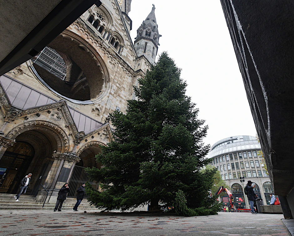Der ungeschmückte Weihnachtsbaum steht vor der Kaiser-Wilhelm-Gedächtnis-Kirche.&nbsp;