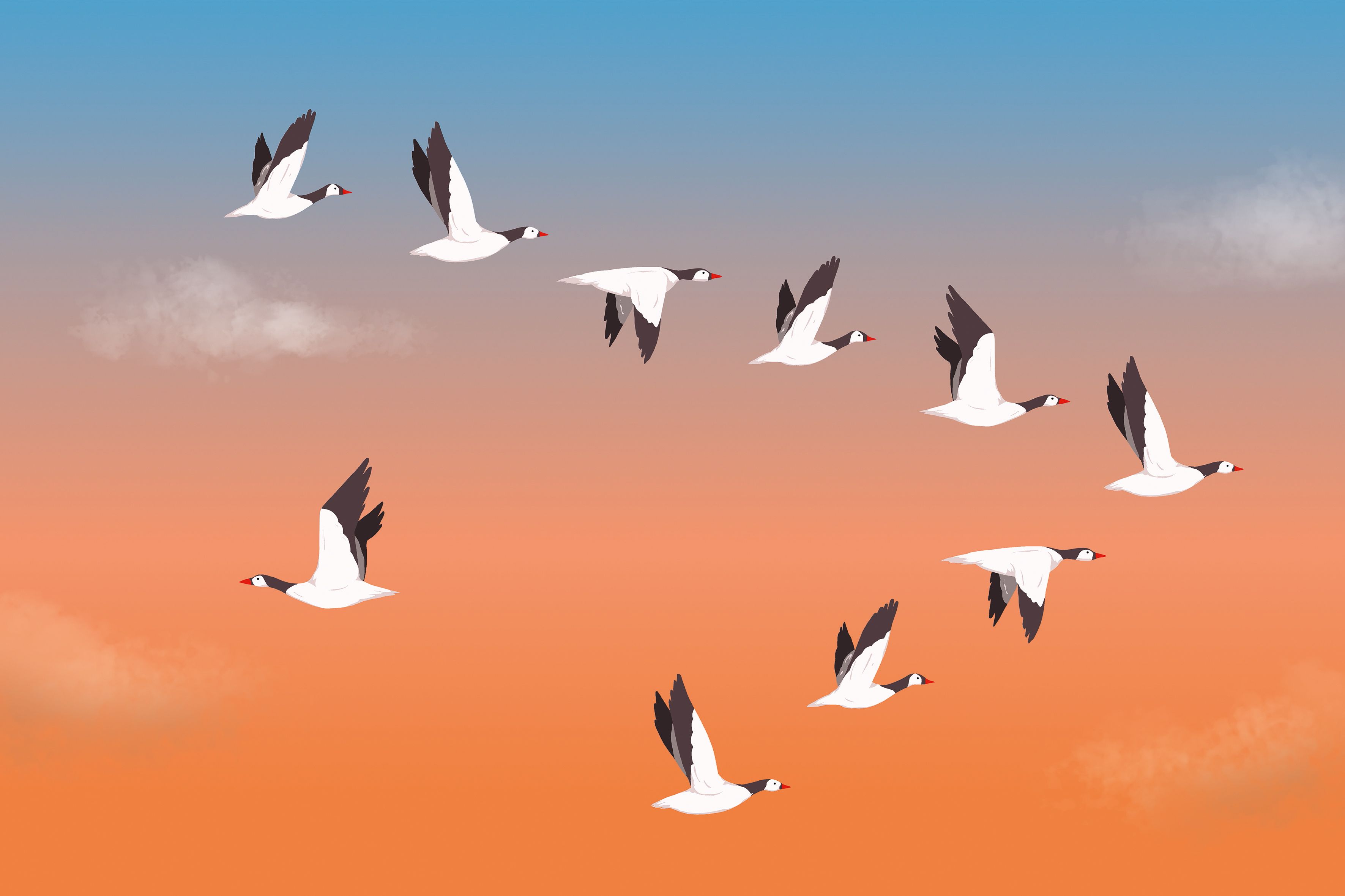 Image - Psychoanalytikerin: „Die meisten sind vom Mut anderer angewidert – weil sie selbst nicht mutig sind“