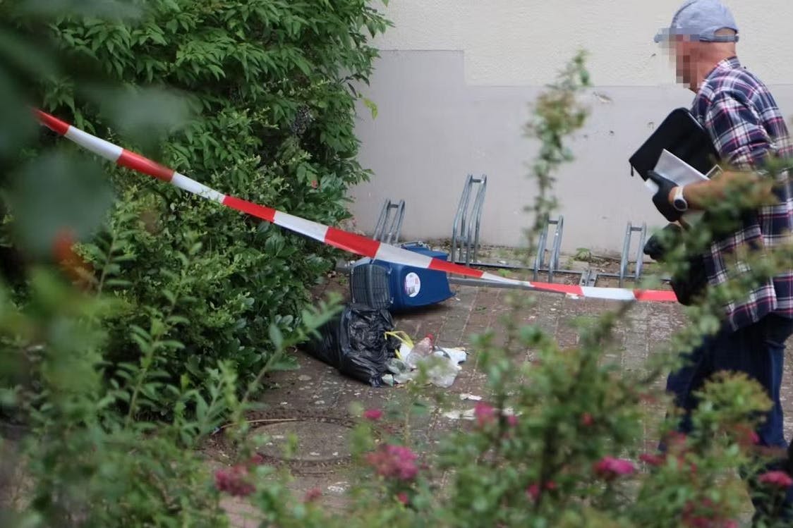 Vor dem Haus prallte die Katzenbox auf den Betonboden.