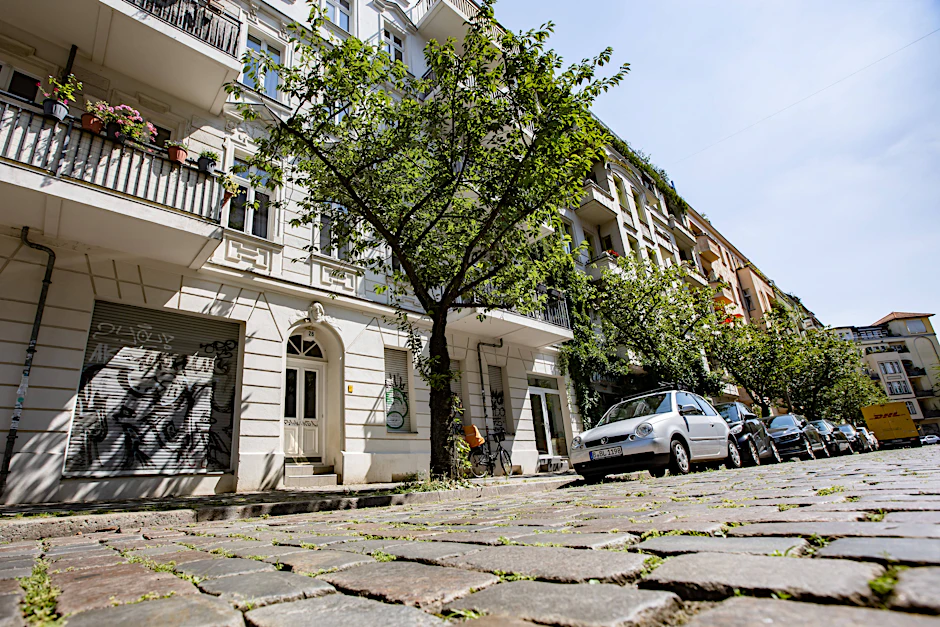 Zierkirschen  in Berlin Prenzlauer Berg