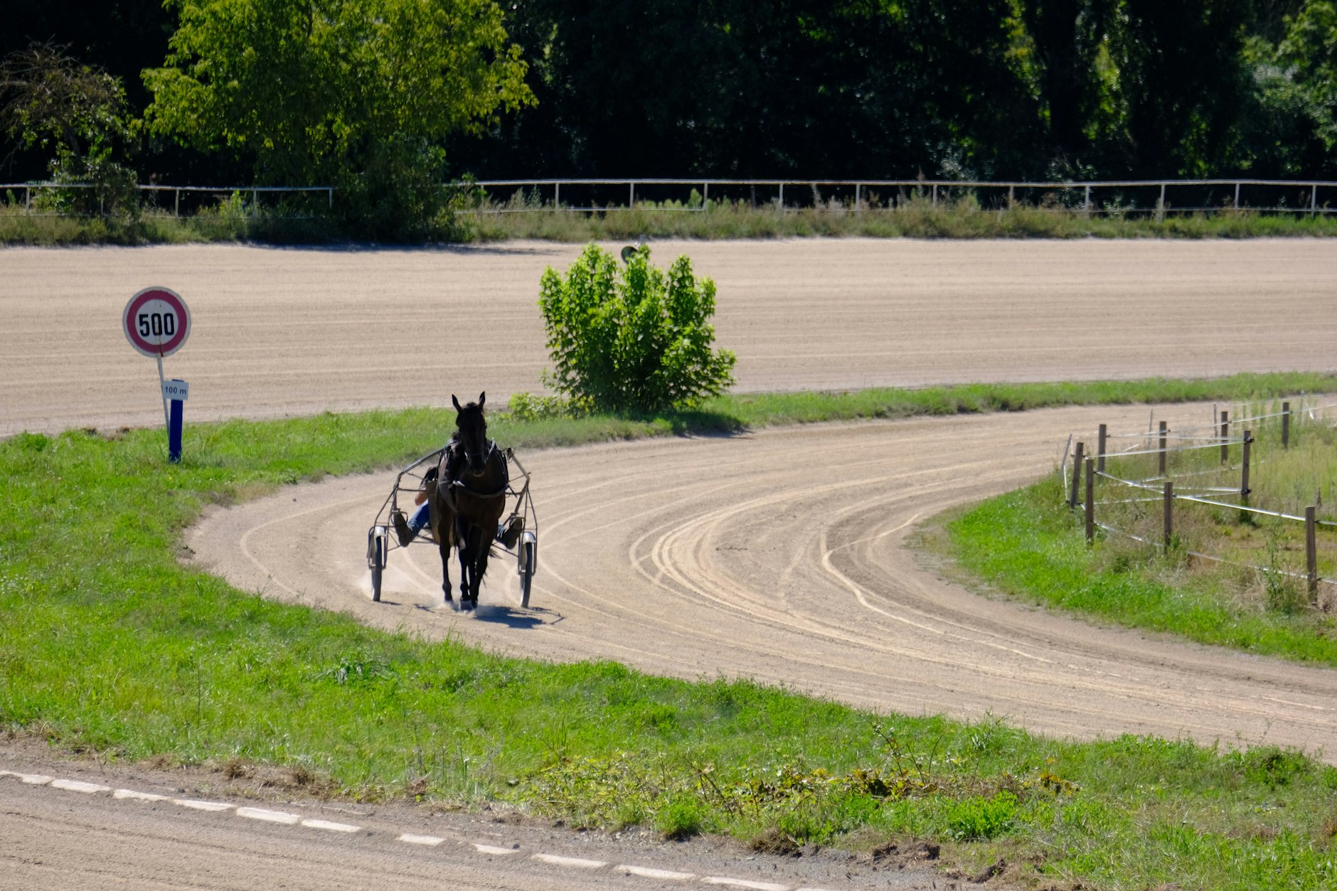 Ein Traber zieht auf der Trabrennbahn Karlshorst seine Runden. Im kommenden Jahr sind zwölf Renntage avisiert.