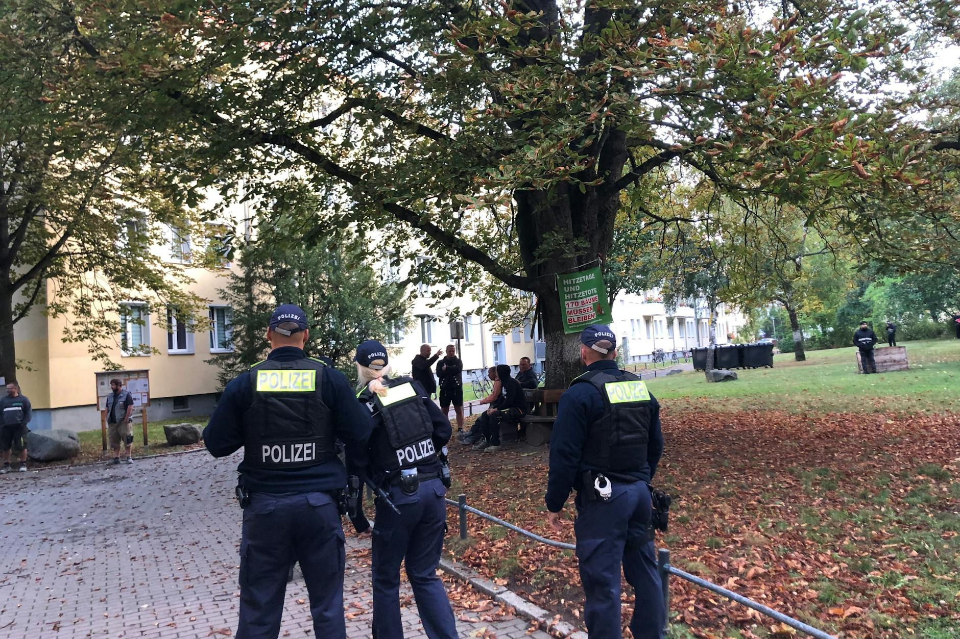 In zwei Pankower Innenhöfen an der Ossietzkystraße sollen zwei Blocks mit Räumen für Geflüchtete entstehen. Dafür müssen 60 alte Bäume weichen.
