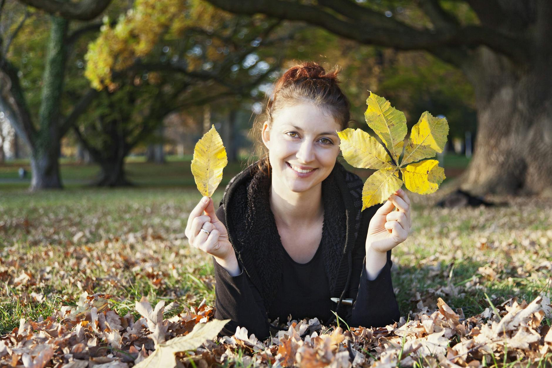 Das große Dezember-Horoskop für das Sternzeichen Löwe verrät, was auf Sie zukommt.