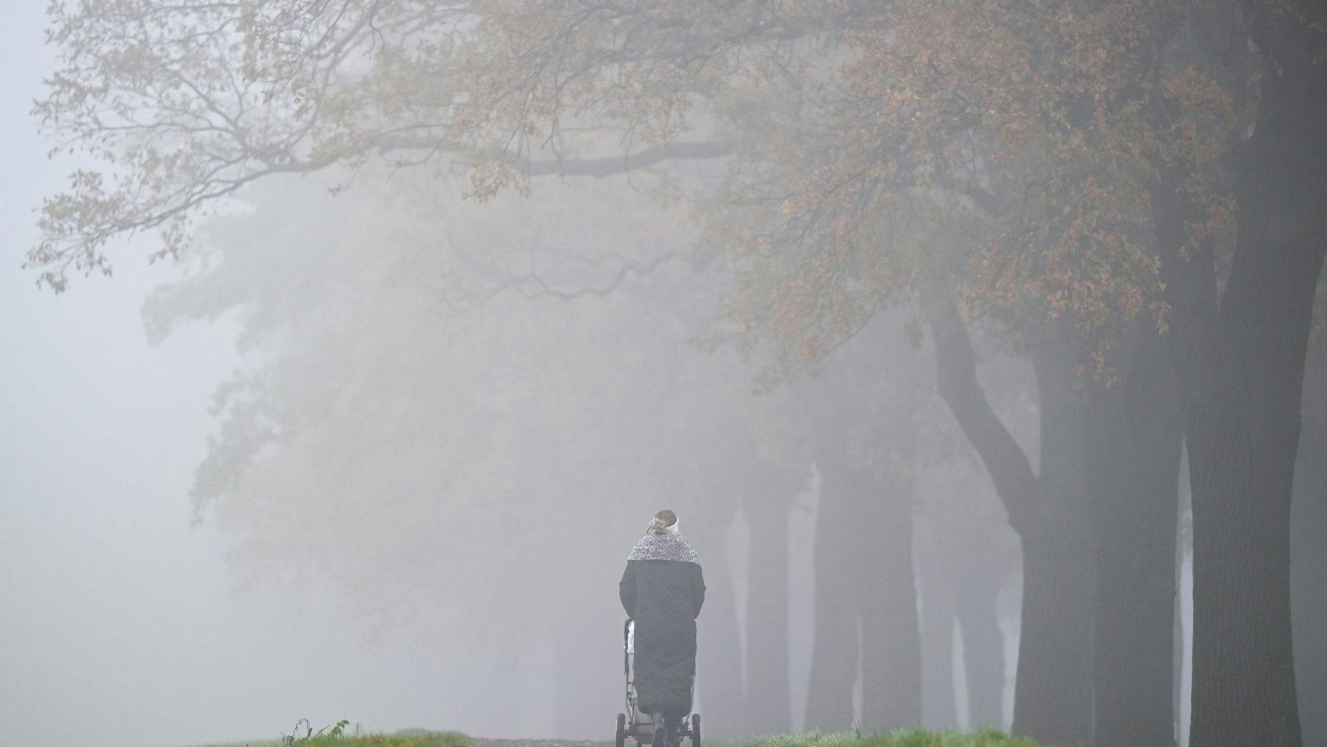 Eine Frau mit Kinderwagen ist im Nebel auf einem Gehweg an einer Allee unterwegs.