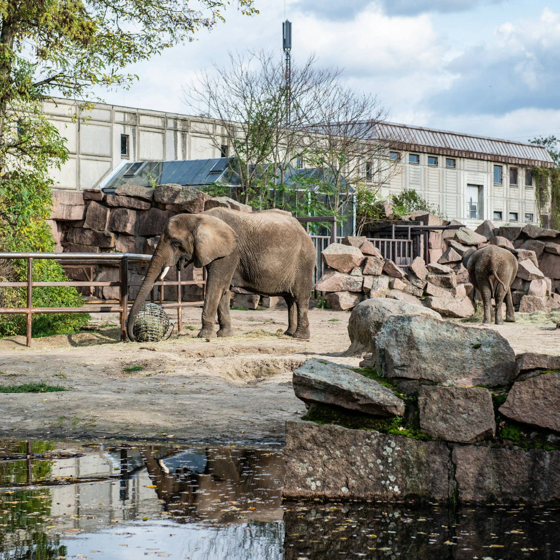 So sah das Dickhäuterhaus aus. Es wurde 1989 fertig, war das letzte Gebäude, das zu DDR-Zeiten im Tierpark gebaut wurde.