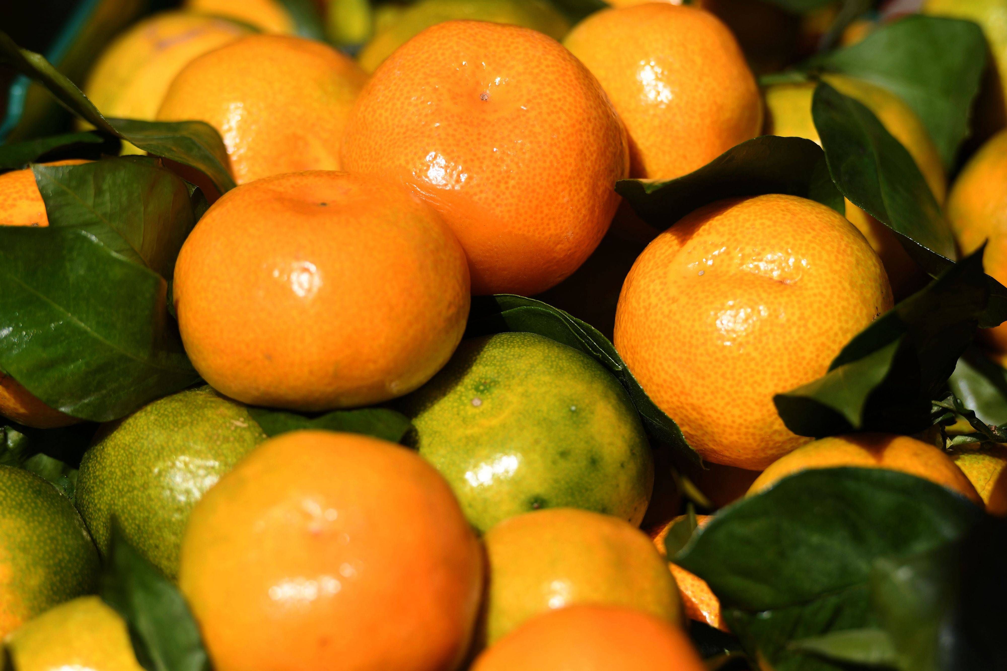 Teuer-Schock zur Adventszeit: Preise für Orangen und Mandarinen explodieren