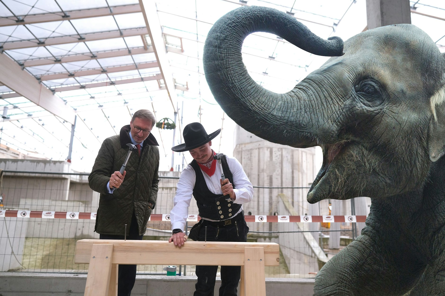 Töröööö, der Rohbau steht, auch ein Dach ist darüber! Endlich konnte das Richtfest im neuen Elefantenhaus im Tierpark gefeiert werden. Direktor Andreas Knieriem schlägt mit Zimmerer Tristan Westerling ganz nach Tradition Nägel in einen Balken. Die Elefanten werden wir erst 2026 im Tierpark wiedersehen.