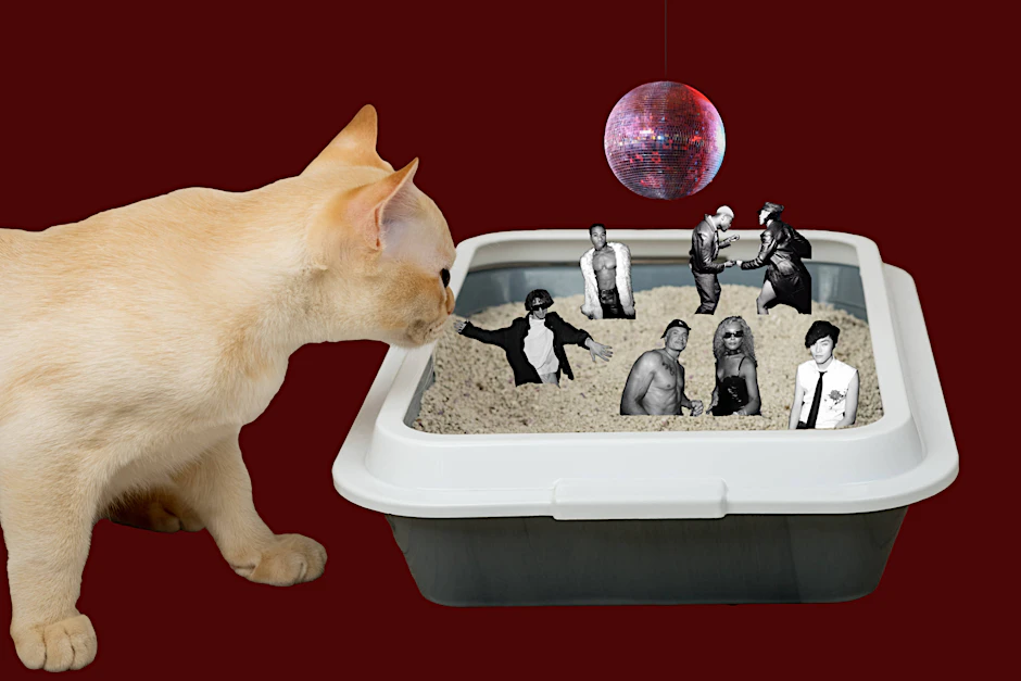 Wenn der Club müffelt wie ein Katzenklo, dann war eventuell Mephedron im Spiel.