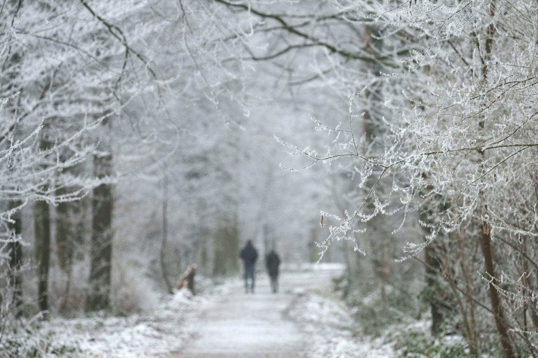 Deutschland erwartet den ersten Schnee.