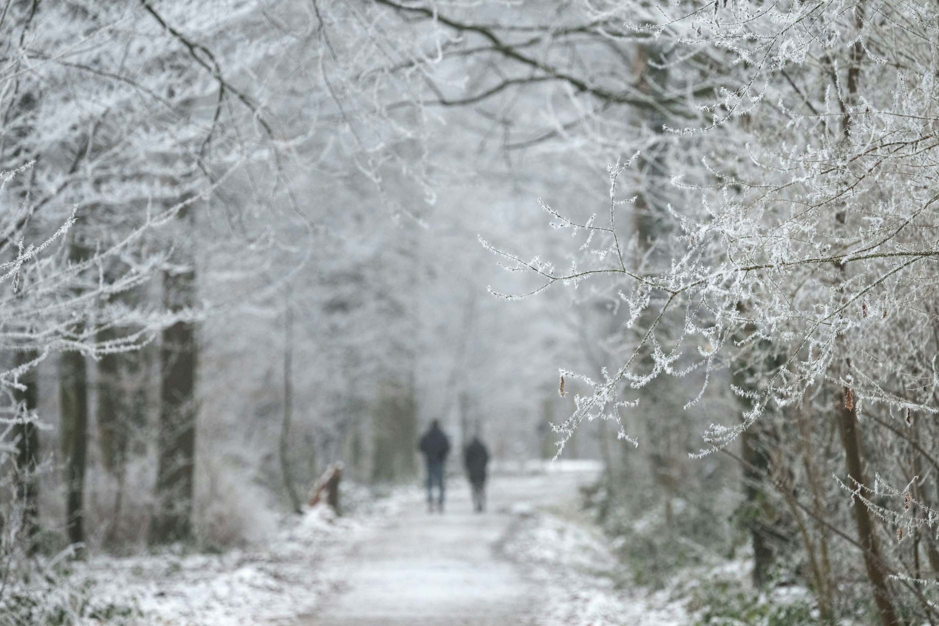 Deutschland erwartet den ersten Schnee. 