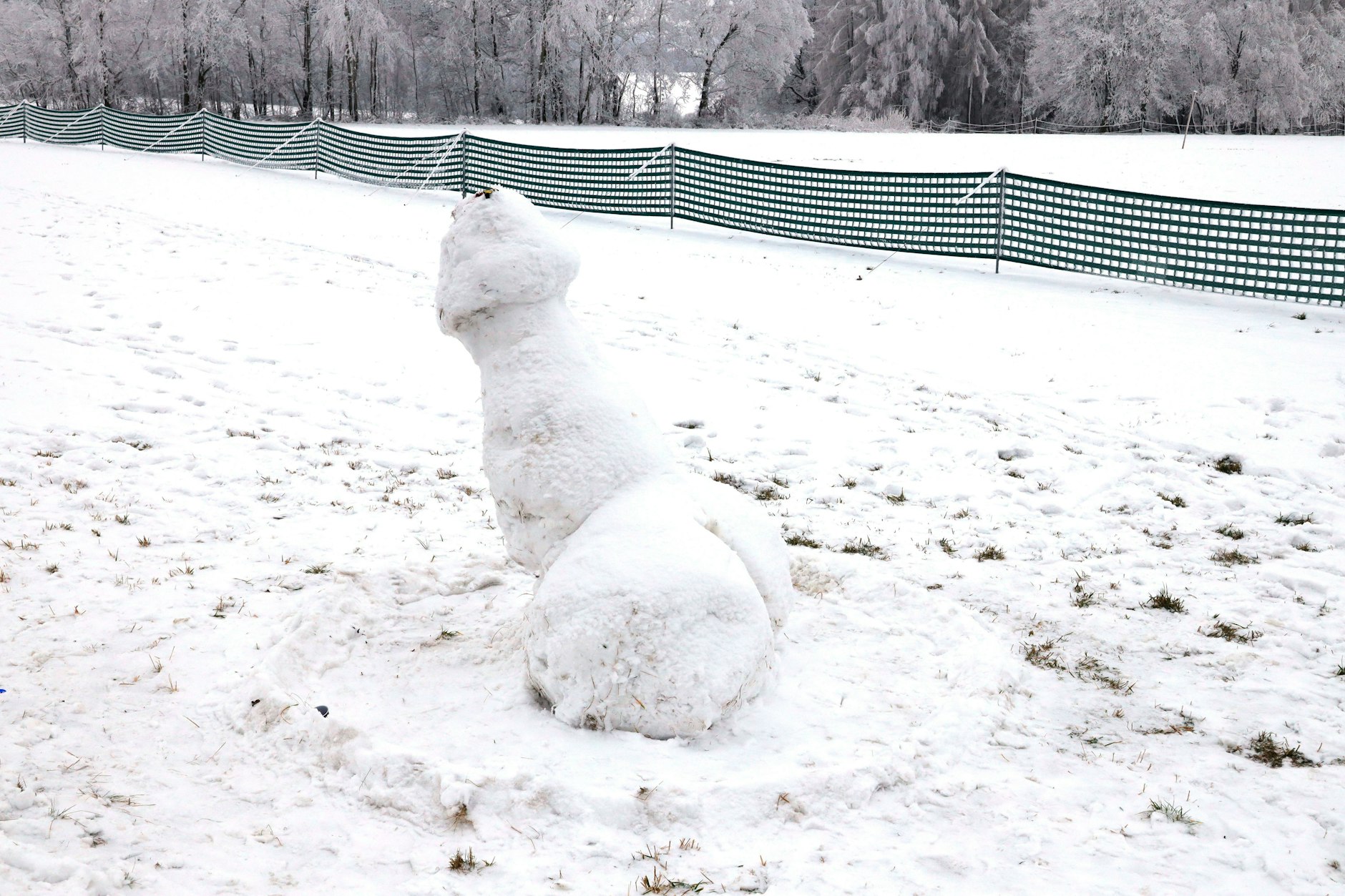 Wenn es kalt wird, leidet auch der Penis. 