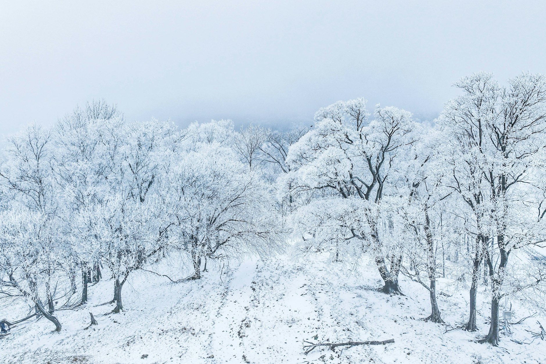 Die Welt von morgen im Roman&nbsp;„Die letzte Prüfung“ ist teils von einer Eiskruste bedeckt.
