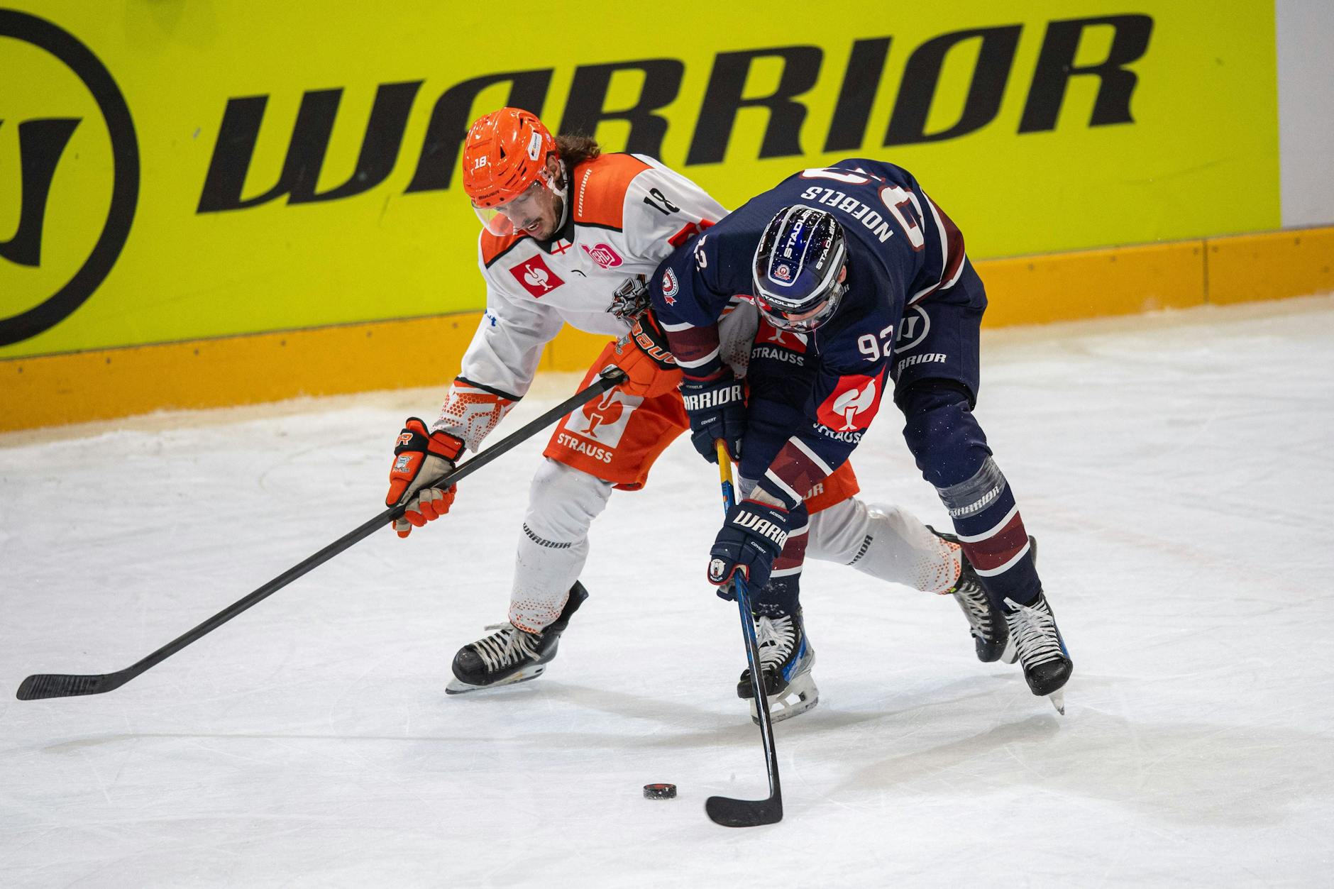 Marcel Noebels von den Eisbären Berlin kämpft mit Samuel Tremblay von den Sheffield Steelers.