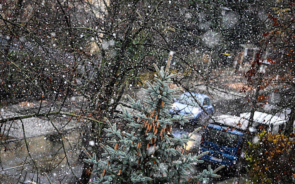 Der erste Schnee des Jahres fällt in einer Straße in Berlin-Karlshorst.