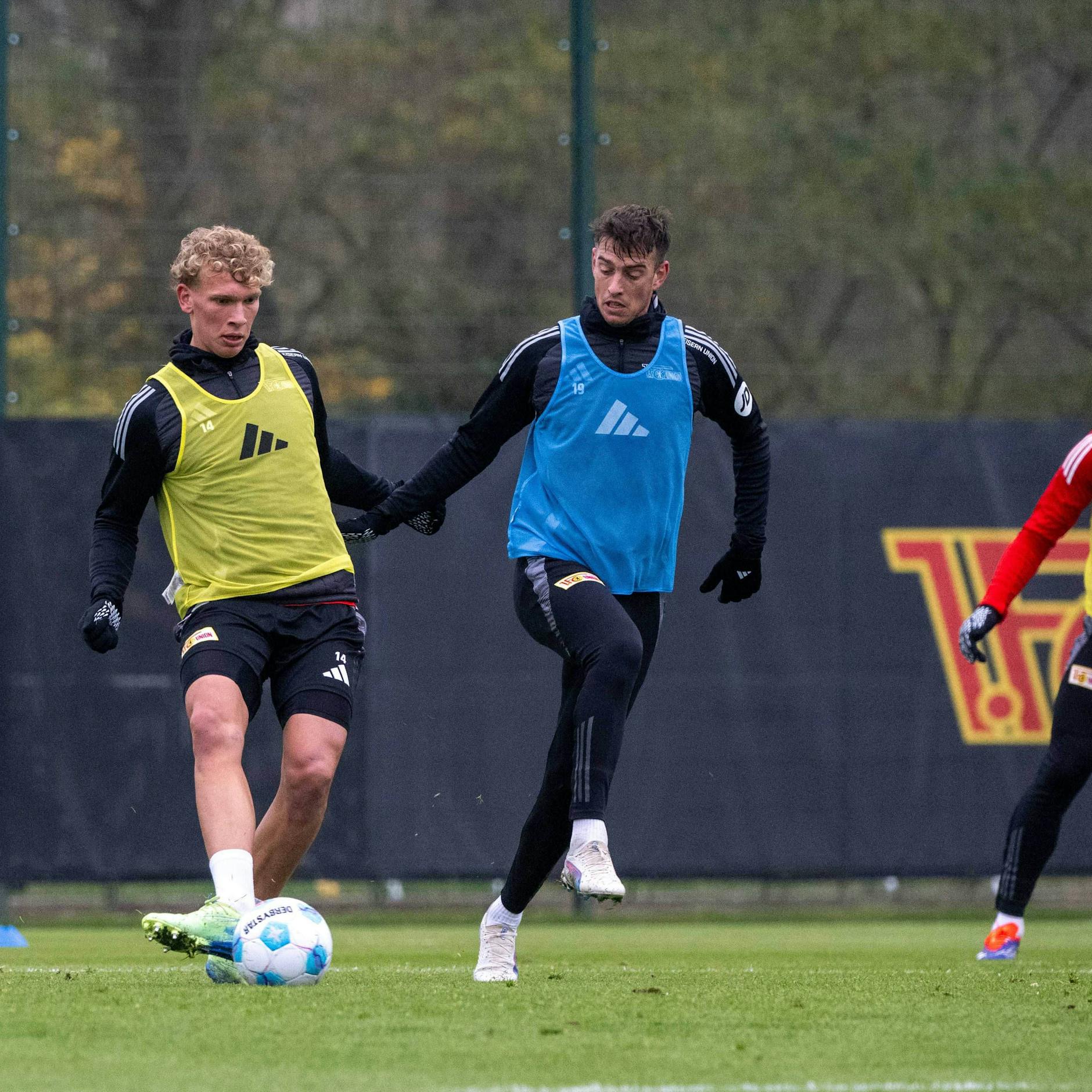 Image - 1. FC Union Berlin: Für Leopold Querfeld ist unter Bo Svensson weiter Geduld angesagt