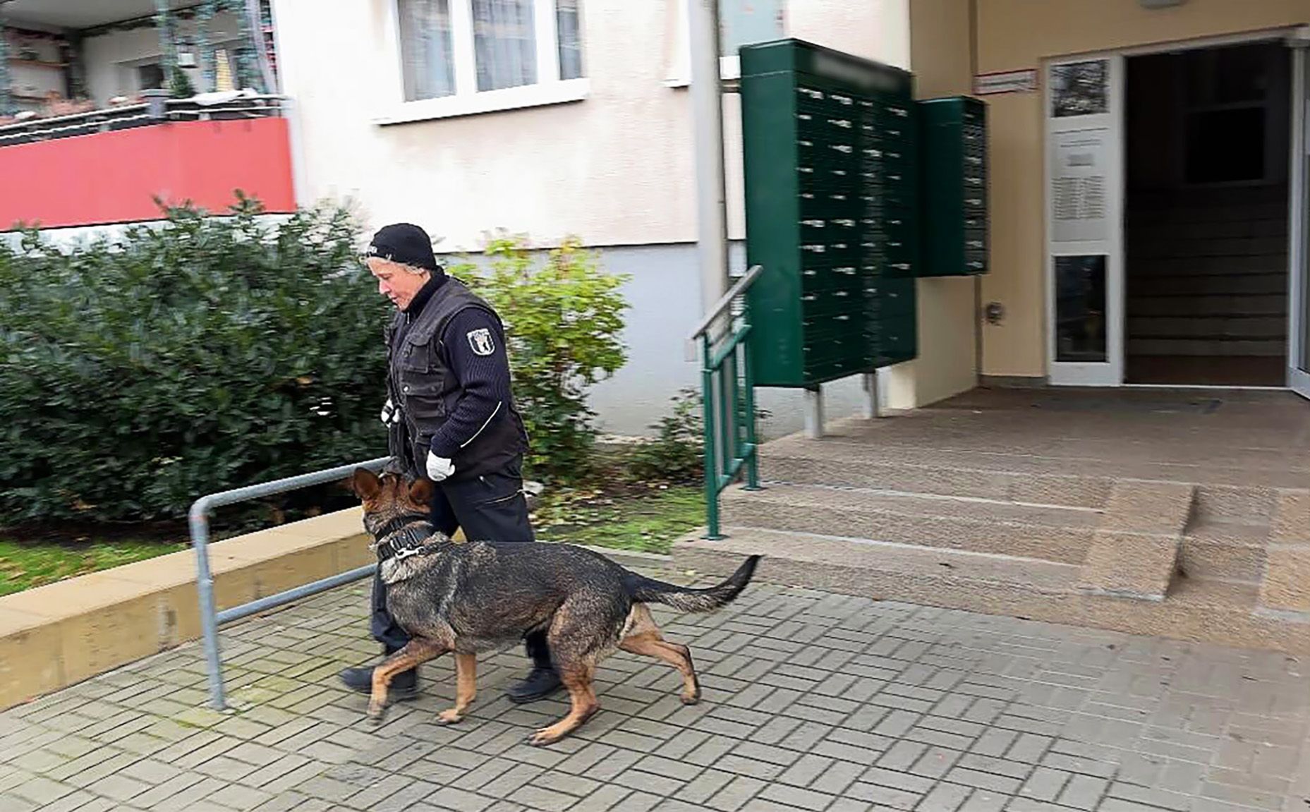 Mit Spürhunden „Bella“ und „Nara“ im Einsatz gegen Kinderpornografie