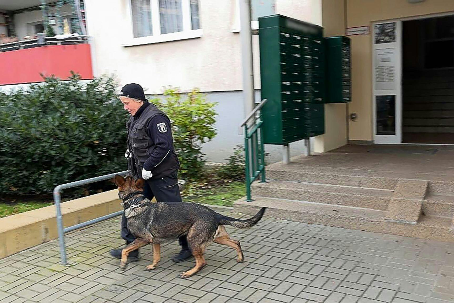 Eine Polizistin verlässt mit einem Spürhund ein Mehrfamilienhaus im Stadtteil Marzahn. Mit Durchsuchungen ist die Berliner Polizei gegen mutmaßliche Besitzer und Verbreiter von Kinderpornografie vorgegangen.